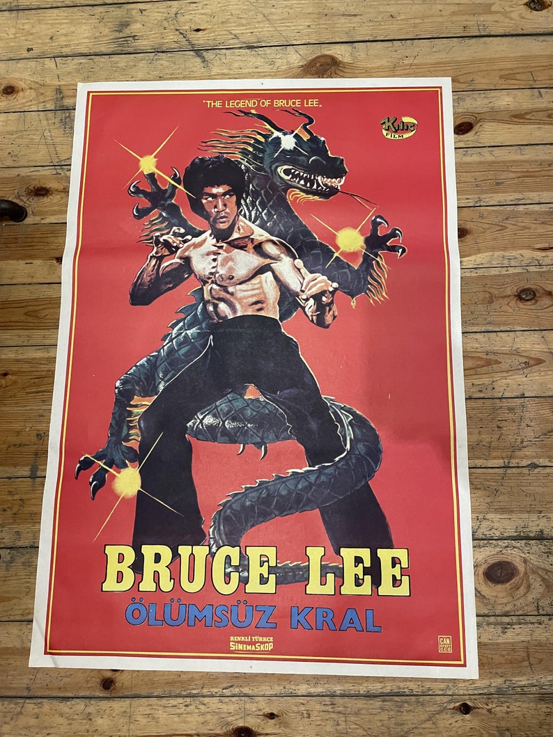 BRUCE LEE SUPERSTAR 1976 visual data 5