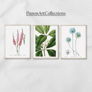 Vintage botanical print gallery wall art set of 3 | Botanical art | Antique | Rustic | Digital Download | Printable Wall Art #5118