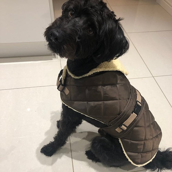 stylish dog coats