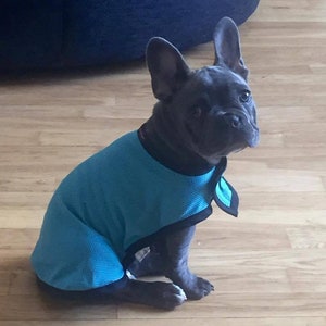 lightweight cooling coats for summer for dogs puppies different colours available
