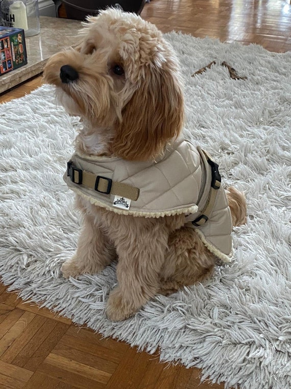Dog clearance coats canada