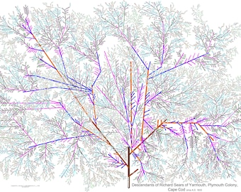 Sears Family Tree - digital download files