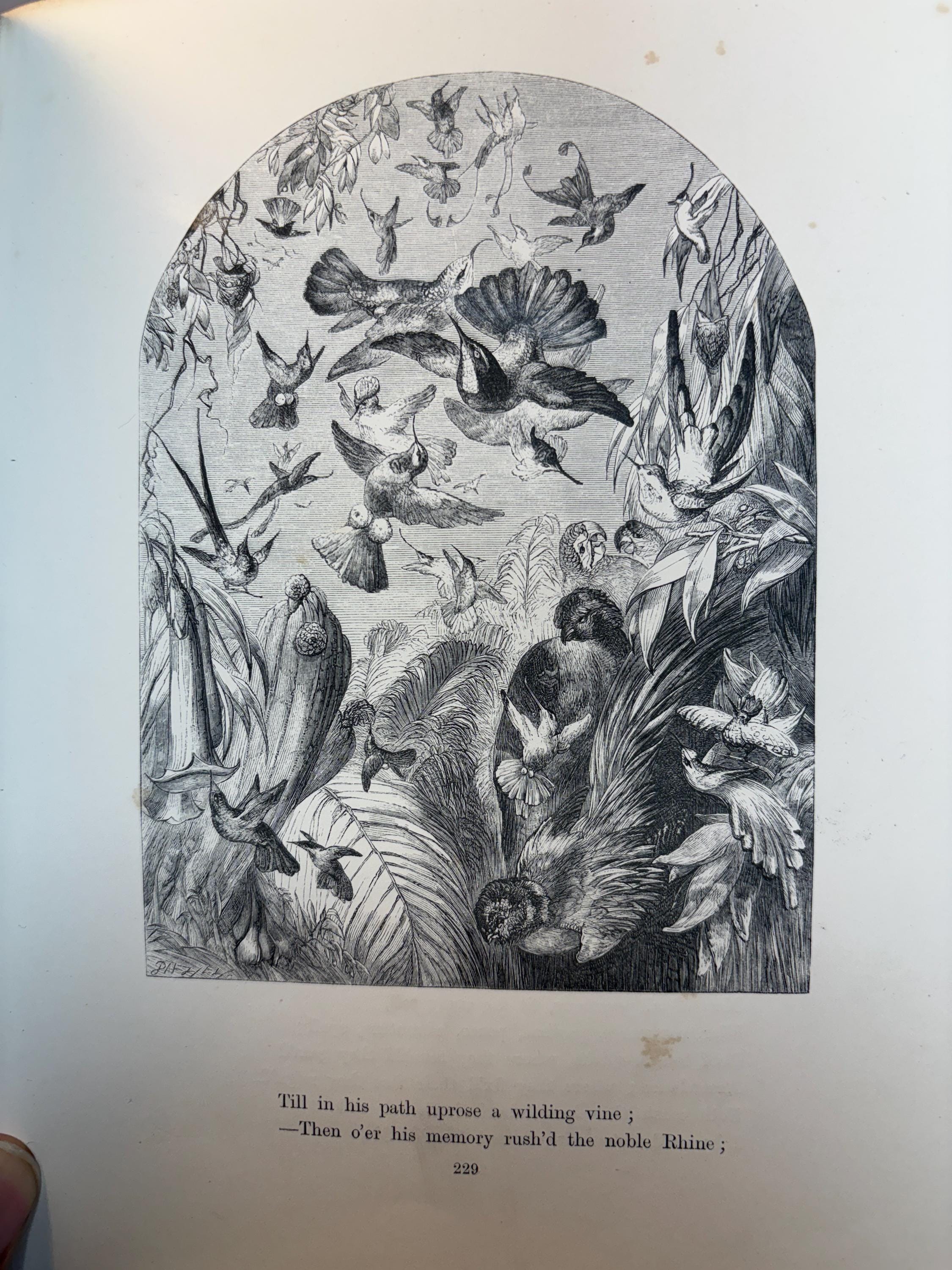 Poems of James Montgomery. Illustrated with One Hundred Designs by John Gilbert, J. Wolf, Birket Foster, Etc. Engraved by The Brothers Daziel. — photograph 7.