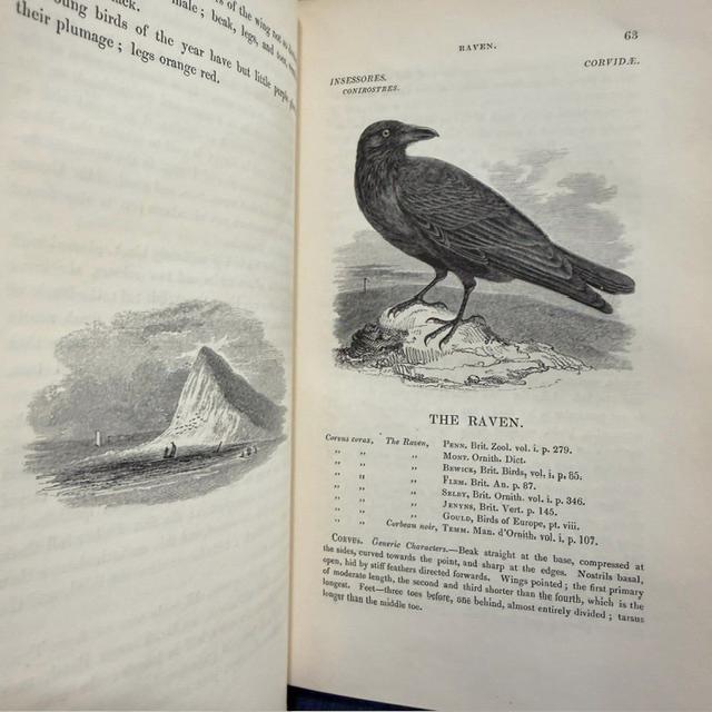 A History of The British Birds. Illustrated By 520 Wod-Engravings, In Three Volumes — photograph 10.