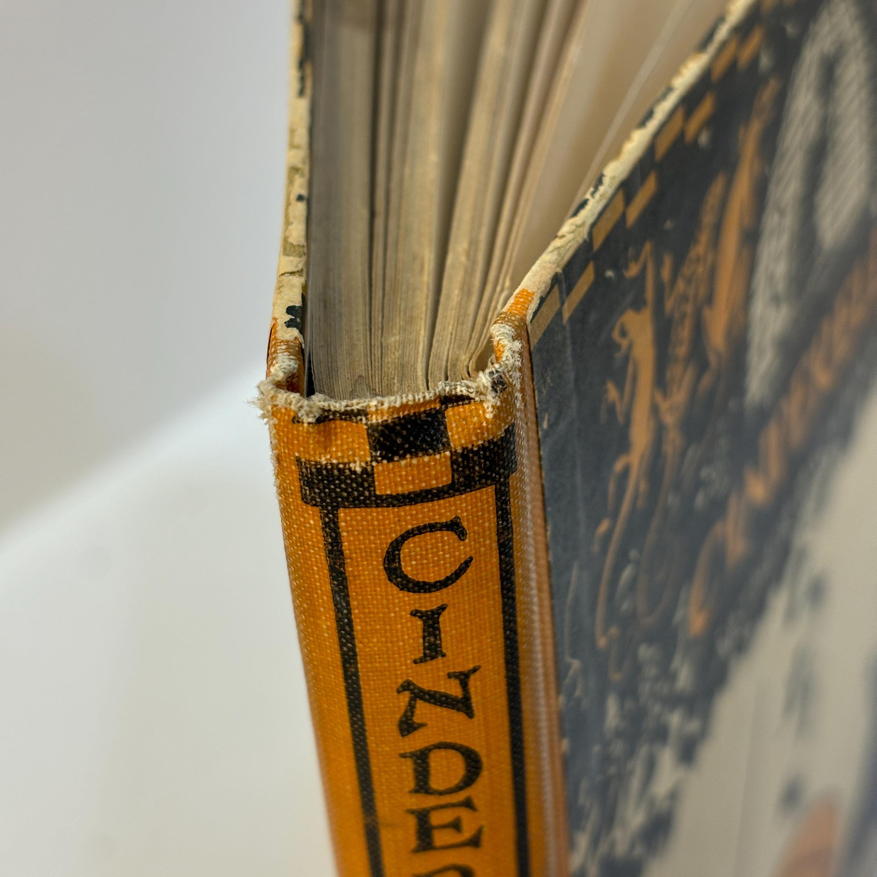 Cinderella — photograph 5.