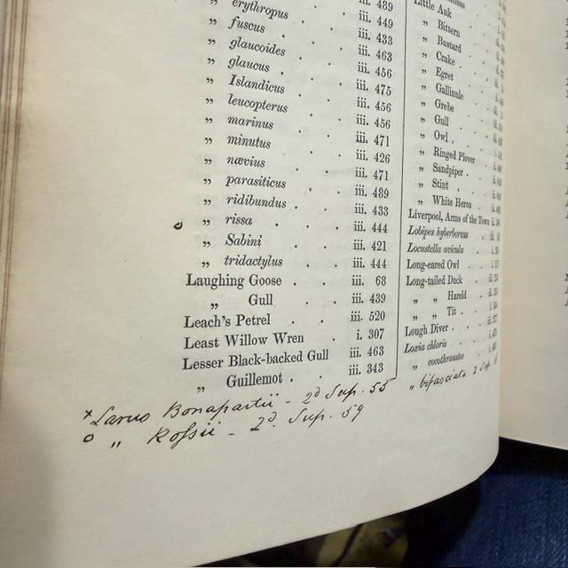 A History of The British Birds. Illustrated By 520 Wod-Engravings, In Three Volumes — photograph 6.