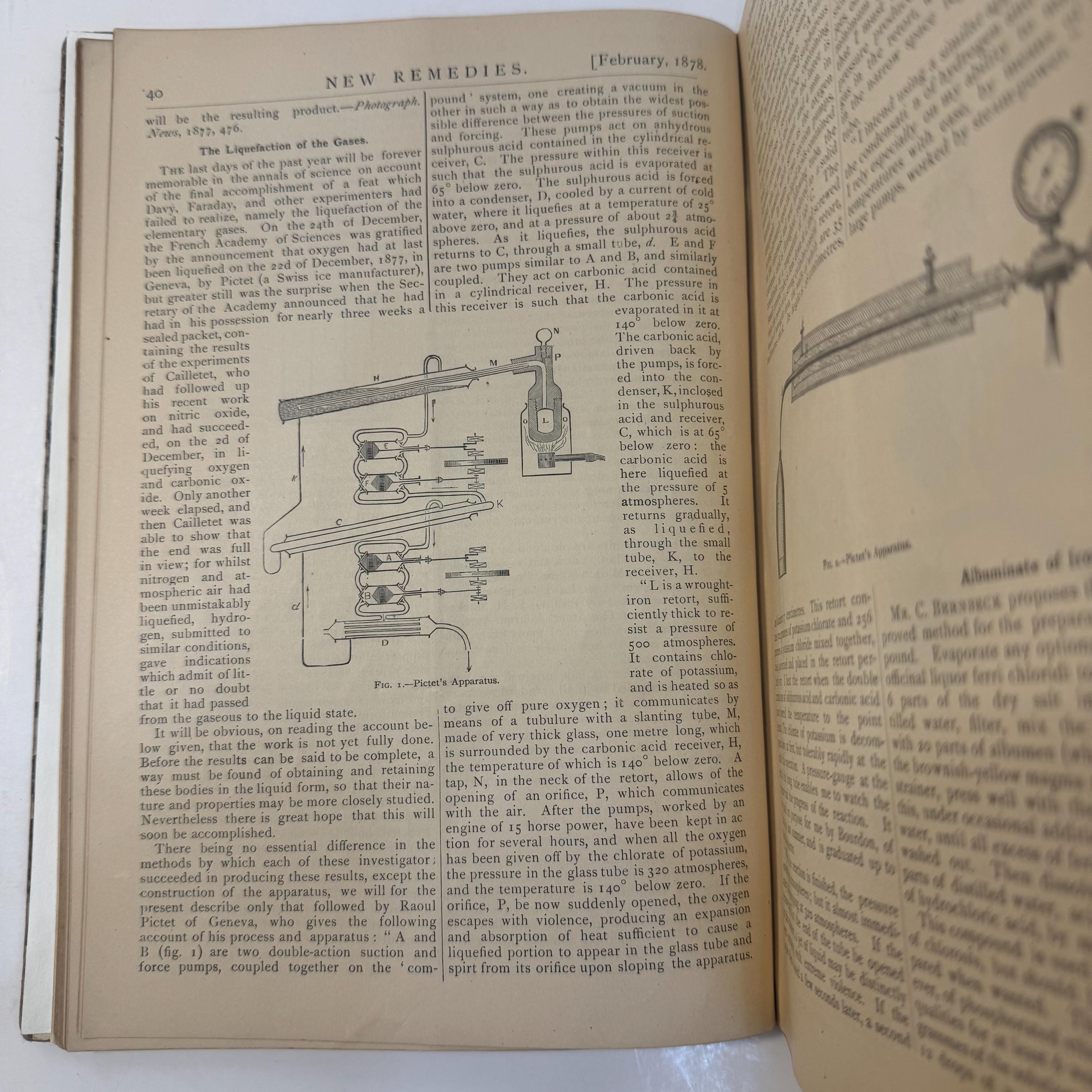 New Remedies, and Illustrated Monthly Trade Journal of Materia Medica, Pharmacy and Therapeutics, Vol. VII — photograph 10.