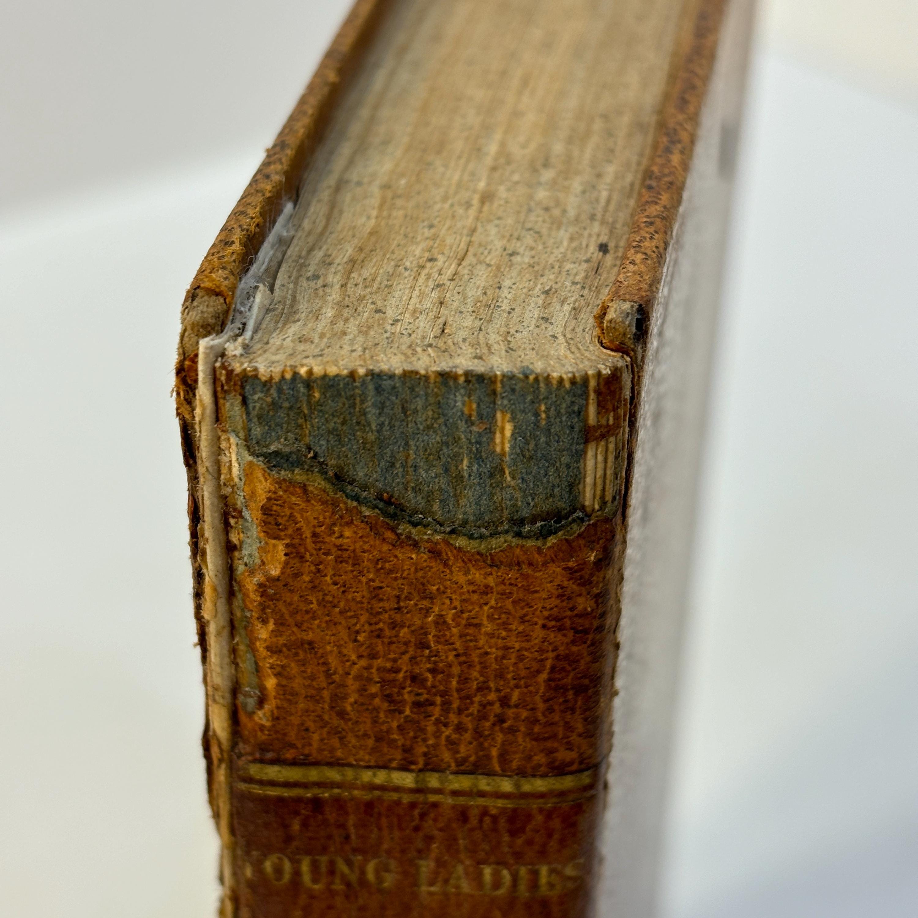 The Young Ladies' Class Book; A Selection of Lessons For Reading, in Prose and Verse. Twenty-Third Stereotype Edition — photograph 7.