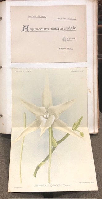 Dictionnaire Iconographique des Orchidées. Translated from French: Iconographic Dictionary of Orchids — photograph 3.