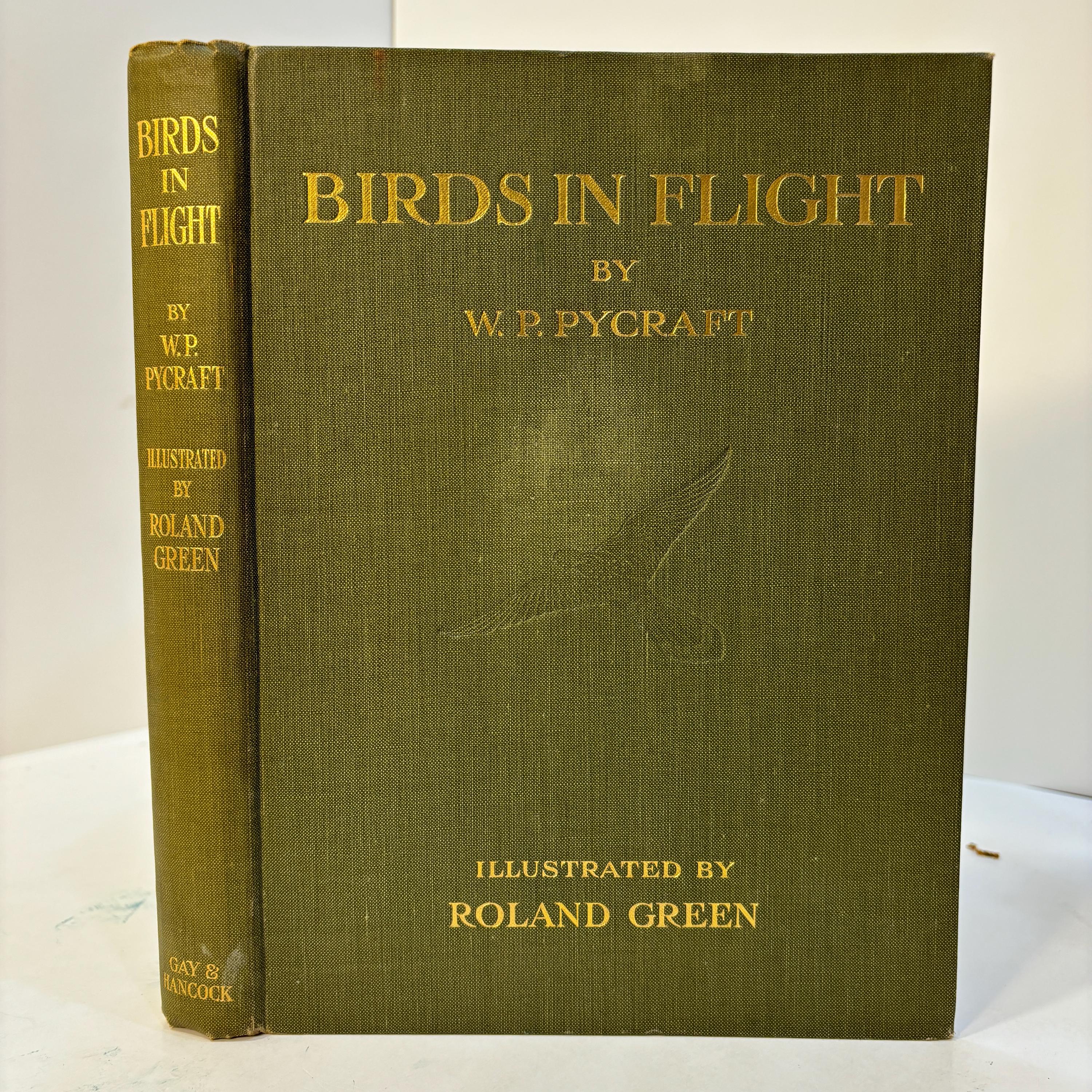 Birds In Flight. Illustrated by Roland Green — photograph 2.