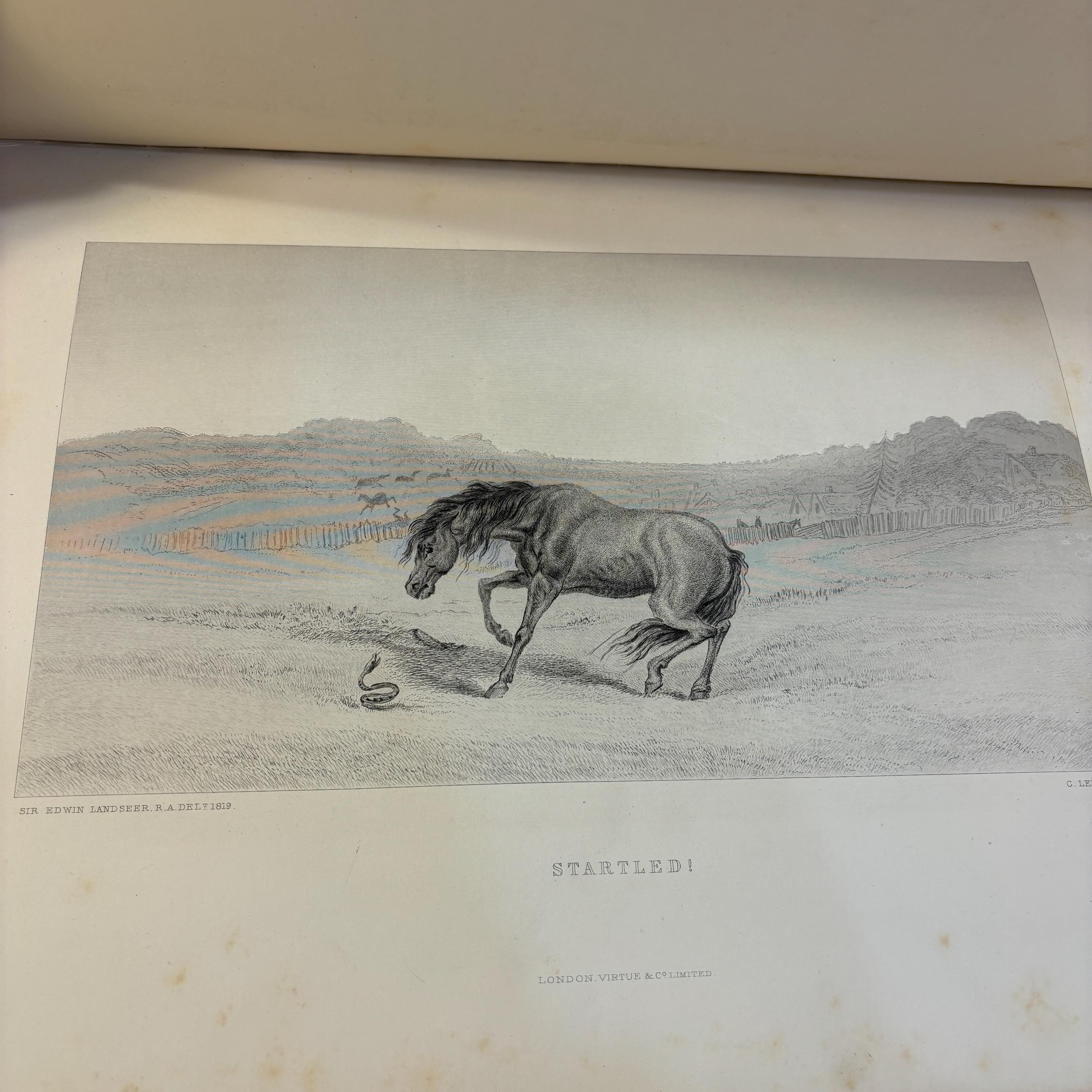 Landseer's Works Comprising Forty-Four Steel Engravings and about 200 Woodcuts From sketches in the collection of Her Majesty the Queen and other sources — photograph 7.