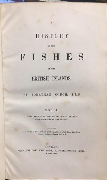 A History of The Fishes of The British Islands (4 vol) — photograph 3.