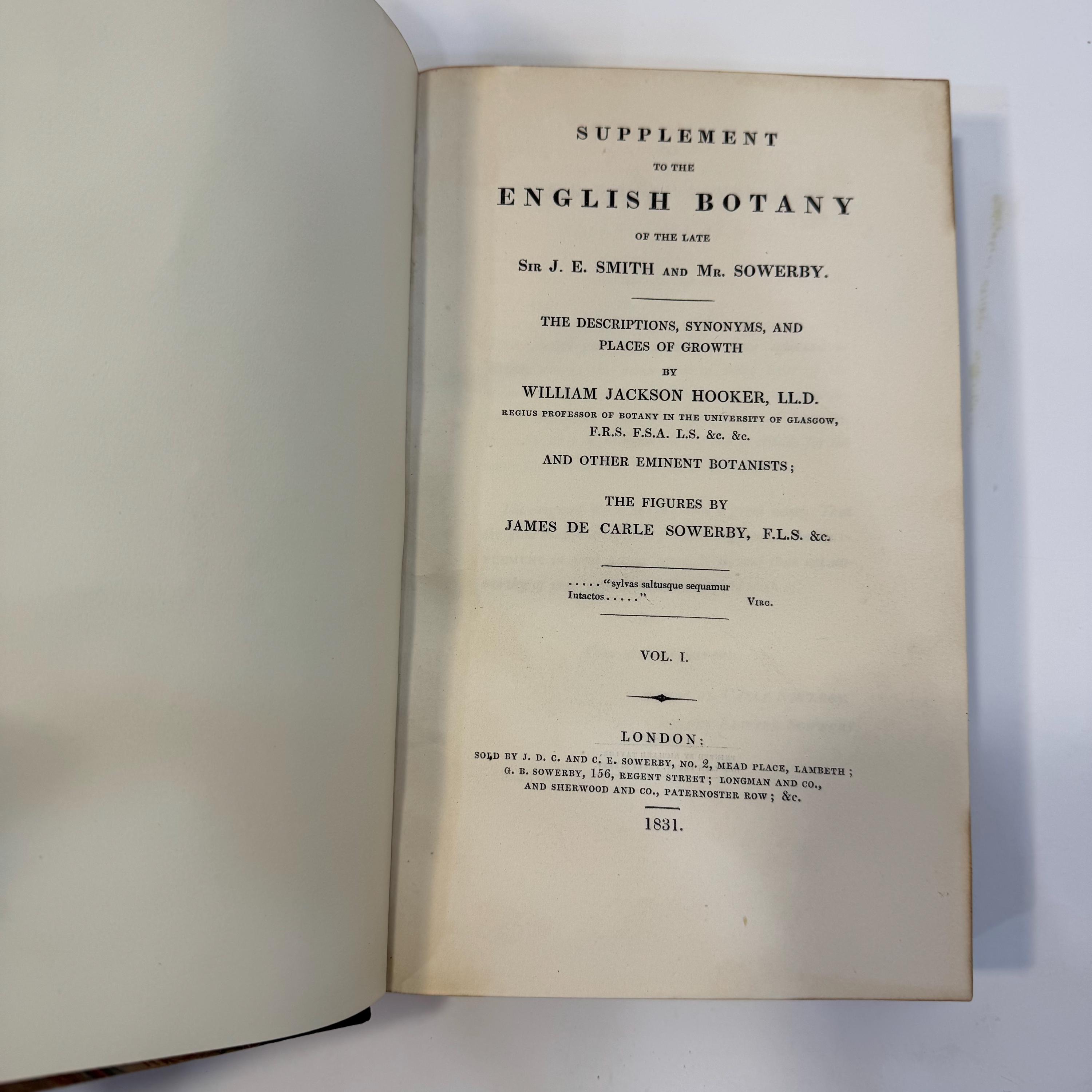 English Botany: Coloured Figures of British Plants by James Sowerby, 1831 First Edition — photograph 10.