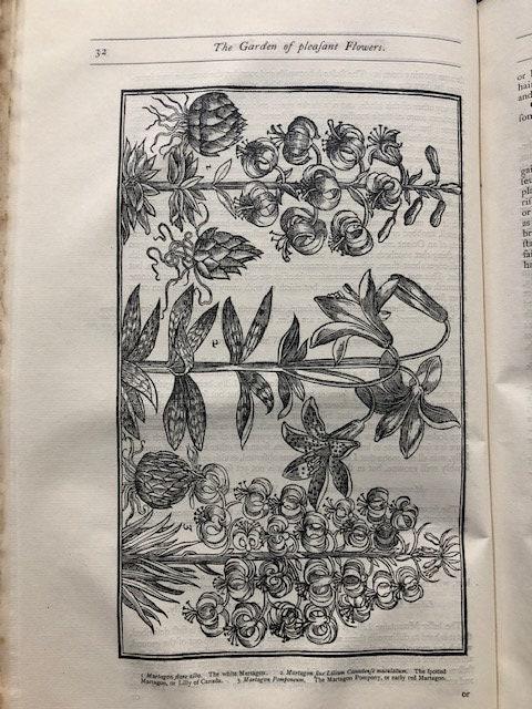 Paradisi In Sole Paradisus Terrestris Faithfully Reprinted from the Edition of 1629 — photograph 8.