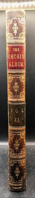 The Orchid Album, Comprising Coloured Figures and Descriptions of New, Rare, and Beautiful Orchidaceous Plants — photograph 4.