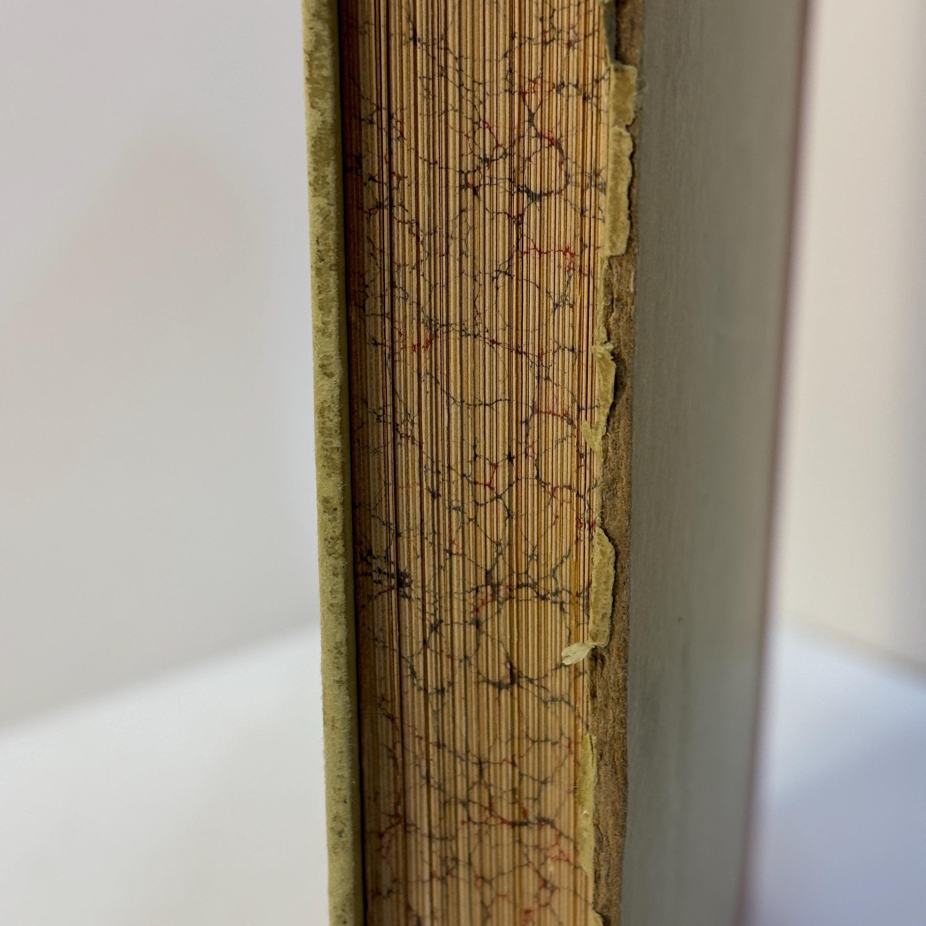 Atlas of Diseases of The Nose with 38 Coloured Plates and 475 Illustrations. Original Sketches Coloured and Described by Robert Krieg. With German and English Text. English Translation by Alphonse Roman — photograph 7.