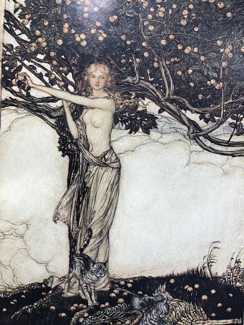 Ring of the Niblueng -:- The Rhinegold : Prelude, The Valkyrie : First Day of the Trilogy by Richard Wagner with Illustrations by Arthur Rackham : Translated by Margaret Armour — photograph 6.