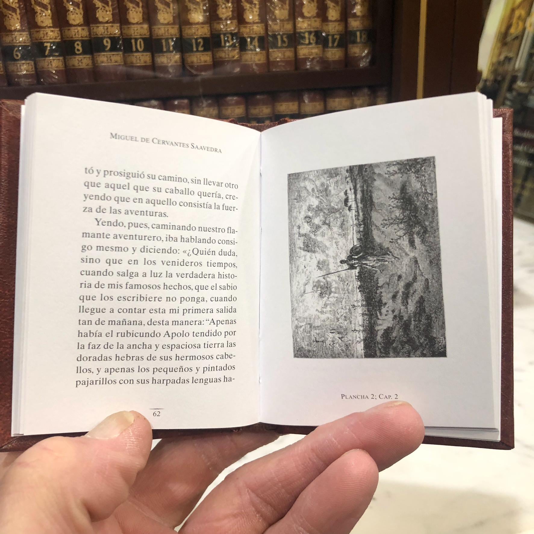 El Ingenioso Hidalgo Don Quijote de la Mancha in pressed wood display case — photograph 8.