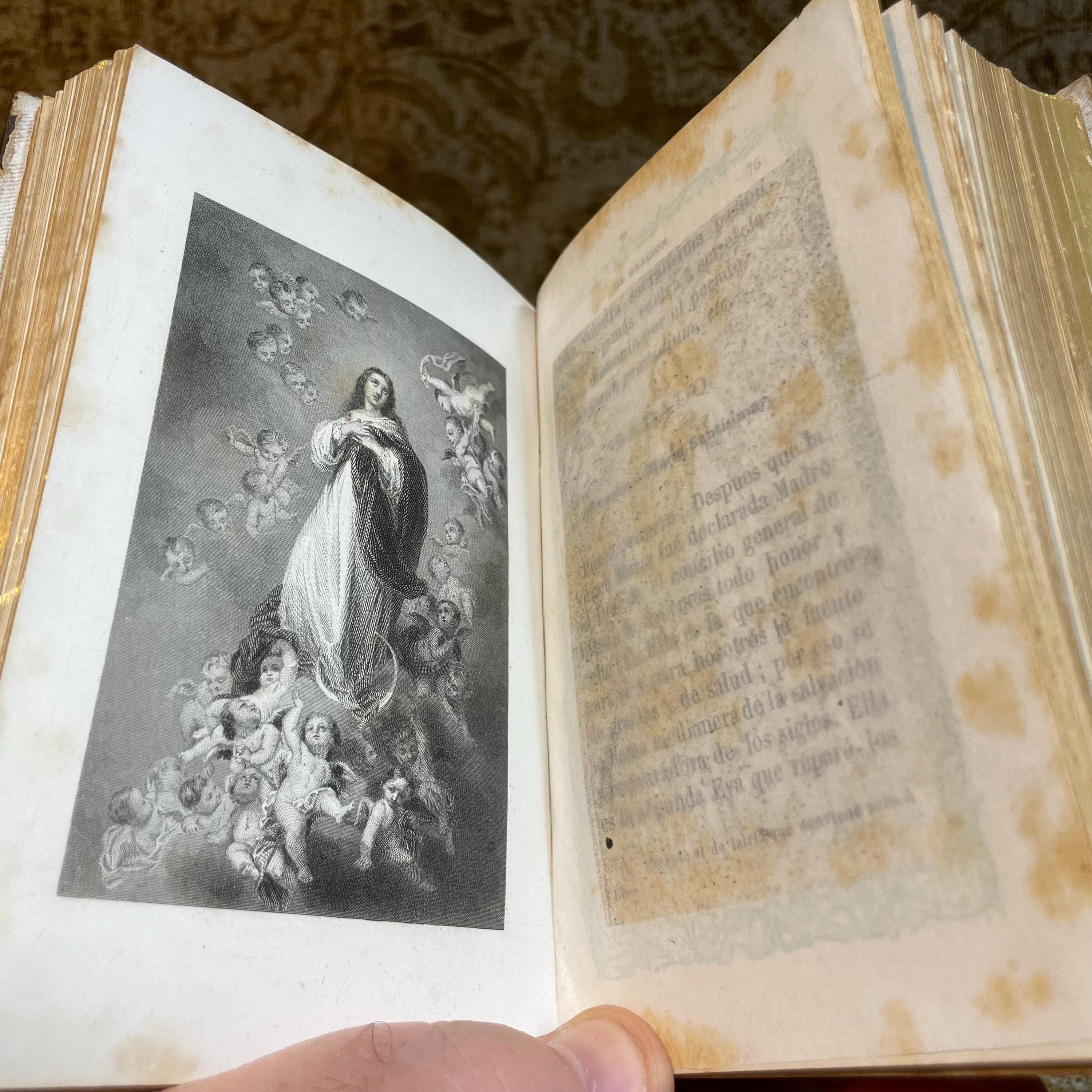 Novísimo Diamante Del Cristiano. Devocionario Completo Nuevamente Revisado Que Contiene Las Horas Divinas, El Ejercicio Cotidiano, Máximas De Santa Teresa, Semana De Oración, Ordinario De La Misa Y Ejercicios Para Antes Y Después De La Confesión Y Comunión, La Semana Santa, Y Otras Oraciones De Mucha Utilidad Para Los Fieles. Translated: Newest Diamond Of The Christian. Complete Prayer Book Newly Revised Containing The Divine Hours, The Daily Exercise, Maxims Of Saint Teresa, Prayer Week, The Order Of The Mass, And Exercises For Before And After Confession And Communion, Holy Week, And Other Prayers Of Great Usefulness For The Faithful. — photograph 10.