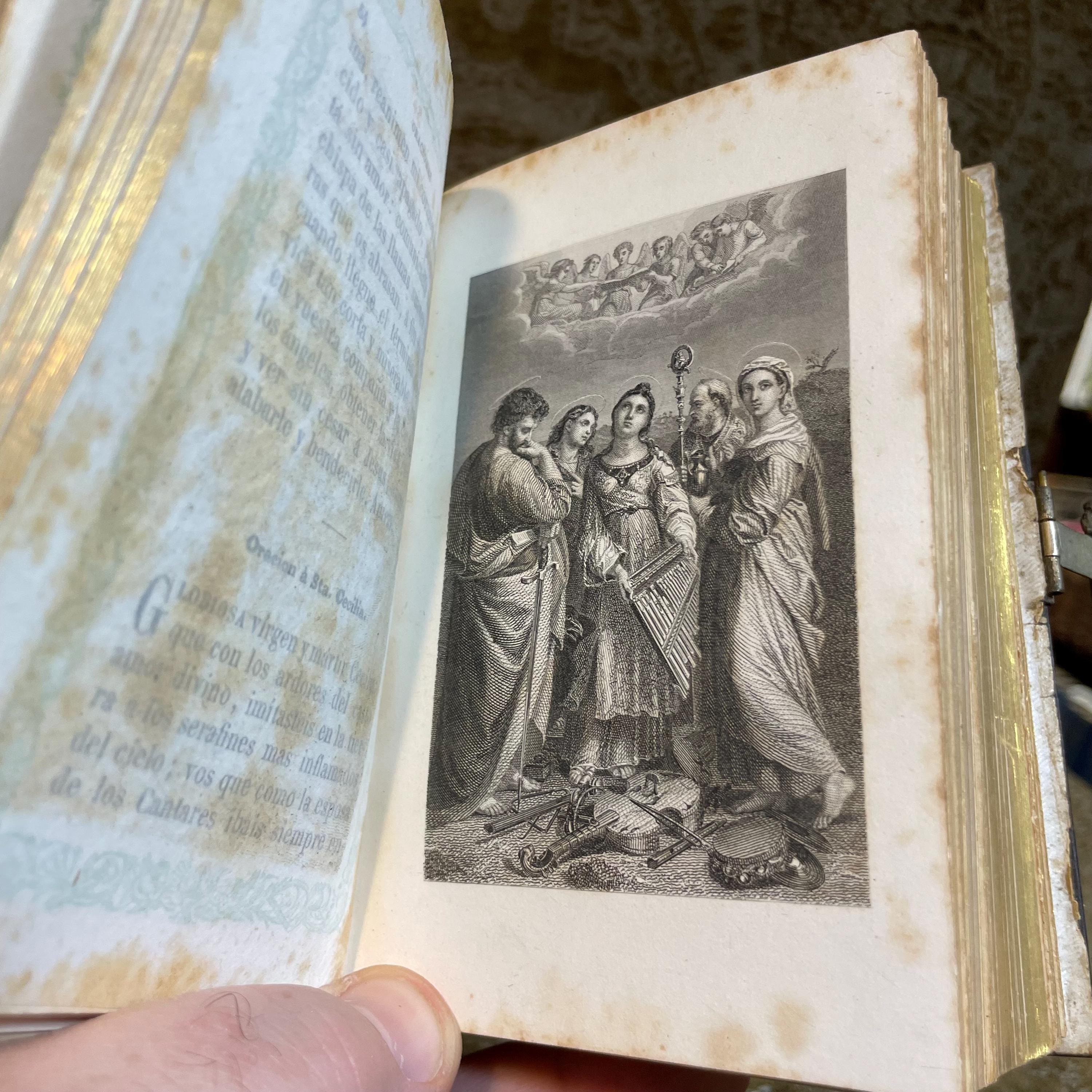 Novísimo Diamante Del Cristiano. Devocionario Completo Nuevamente Revisado Que Contiene Las Horas Divinas, El Ejercicio Cotidiano, Máximas De Santa Teresa, Semana De Oración, Ordinario De La Misa Y Ejercicios Para Antes Y Después De La Confesión Y Comunión, La Semana Santa, Y Otras Oraciones De Mucha Utilidad Para Los Fieles. Translated: Newest Diamond Of The Christian. Complete Prayer Book Newly Revised Containing The Divine Hours, The Daily Exercise, Maxims Of Saint Teresa, Prayer Week, The Order Of The Mass, And Exercises For Before And After Confession And Communion, Holy Week, And Other Prayers Of Great Usefulness For The Faithful. — photograph 7.
