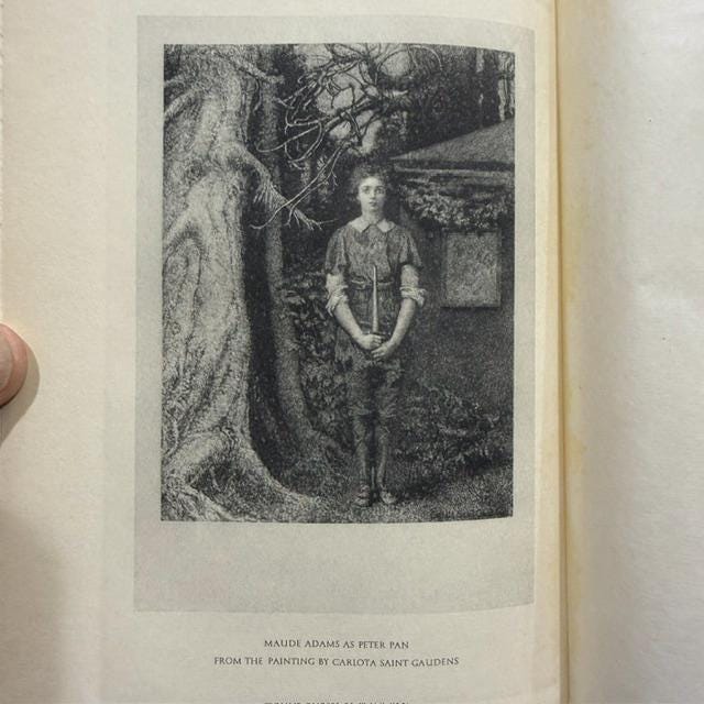 The Works of J.M. Barrie, Limited Peter Pan Edition #881/1030 — photograph 6.