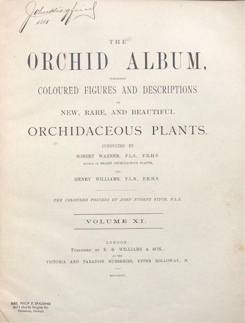 The Orchid Album, Comprising Coloured Figures and Descriptions of New, Rare, and Beautiful Orchidaceous Plants — photograph 3.