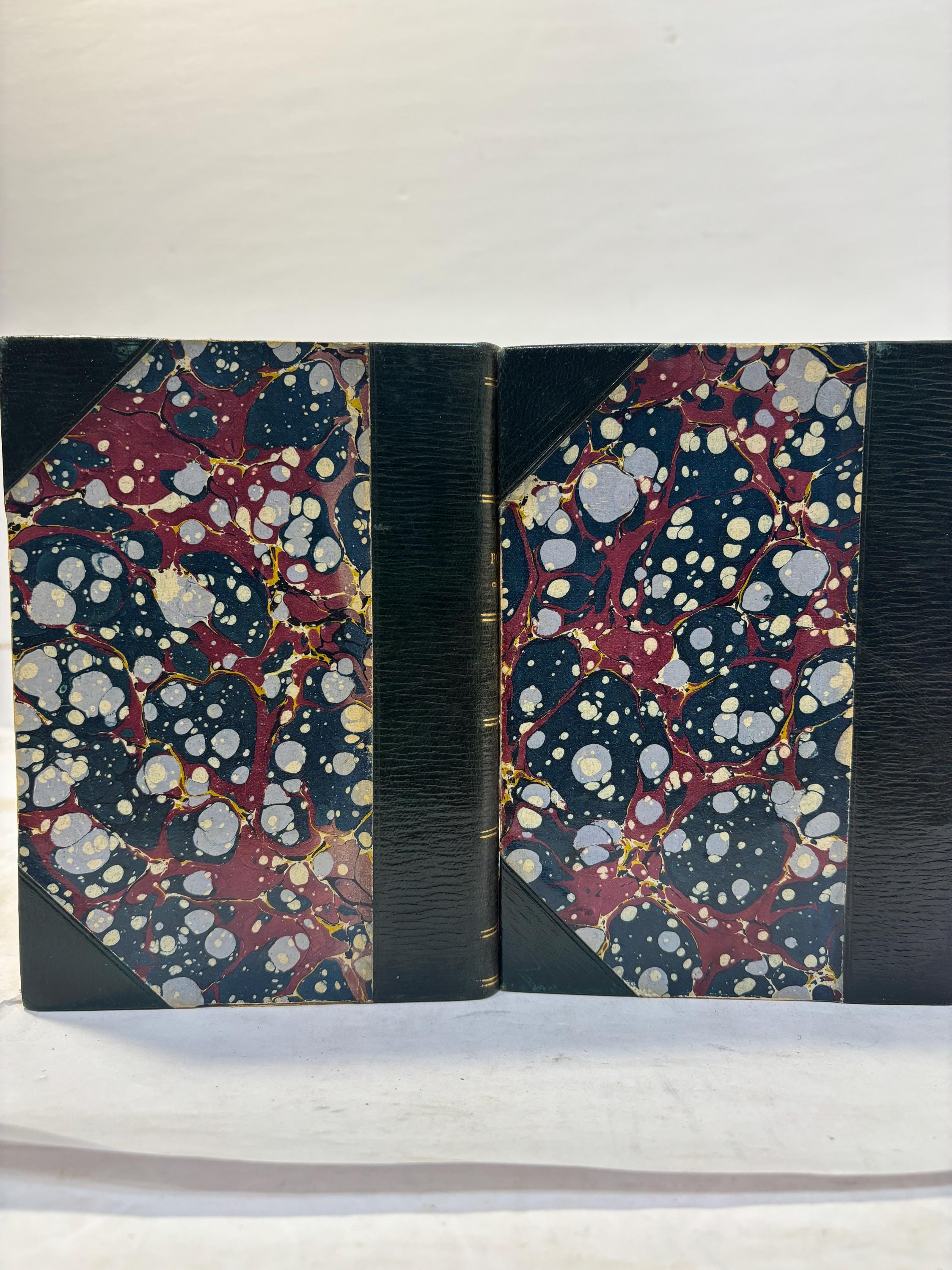 Red Pottage. In Two Volumes, Copyright Edition — photograph 3.