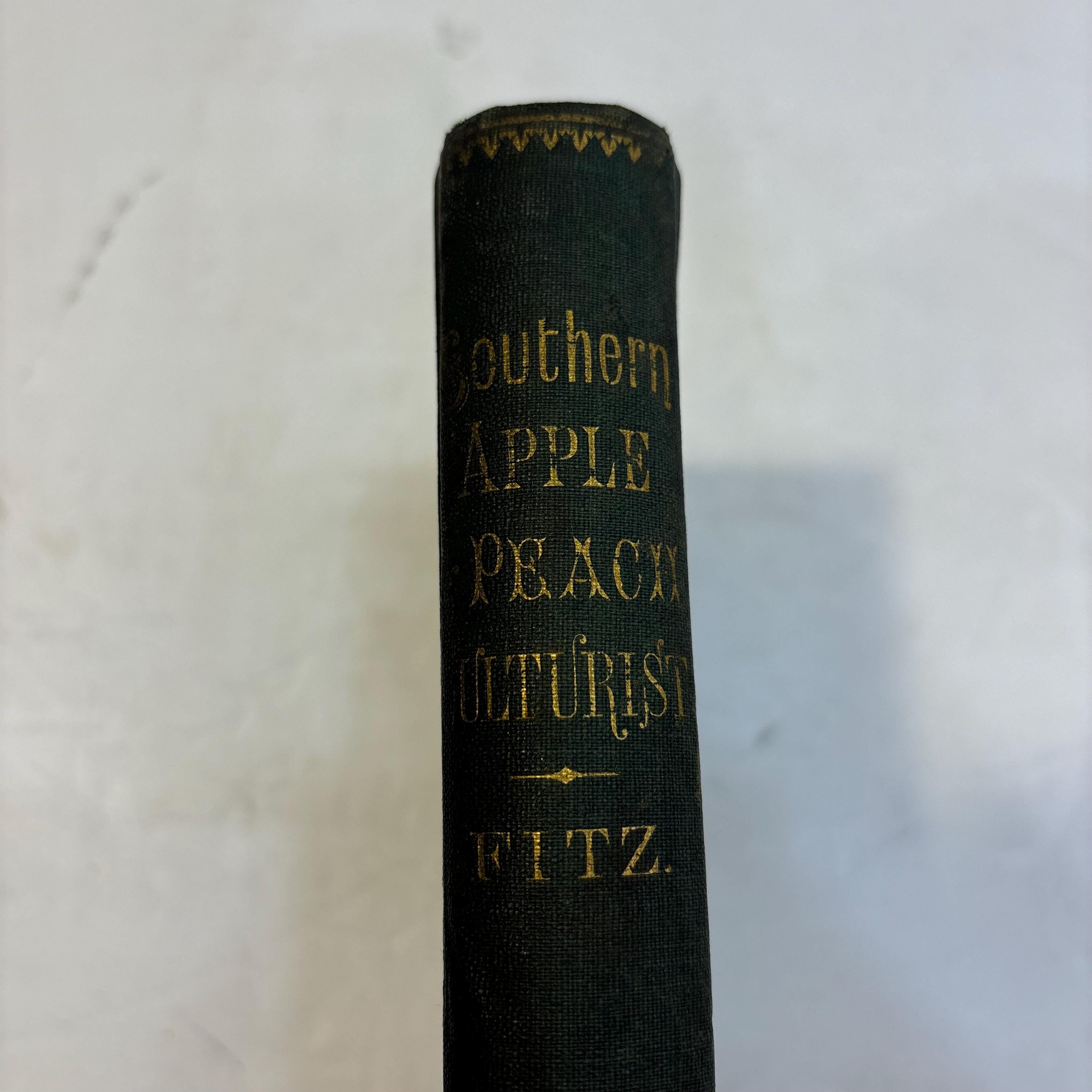 The Southern Apple and Peach Culturist, Adapted to The Soil and Climate of maryland, Virginia, the Carolinas, Georgia and Farther South, Including Portions of thee West and West Virginia, Containing Full and Practical Instructions in Successful Culture, Grafting, Budding, Training, Transplanting, Mulching, Pruning, Fruit-Gathering, &c., &c., Together With Descriptive Catalogues of The Most Esteemed Orchard Fruits, Suitable for the Table, the Kitchen, and For Market Purposes, With Illustrations. Also A Treatise on Insects and Their Extermination. — photograph 4.