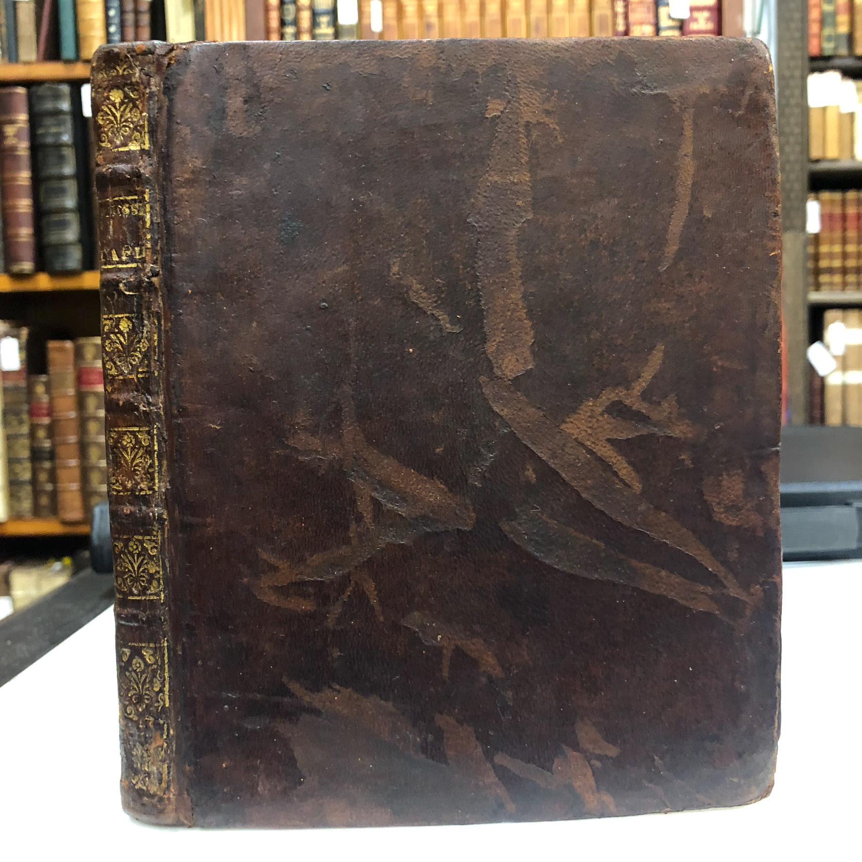 French manuscript on Equestrian Education, c.18 century, 193 pp. — photograph 5.