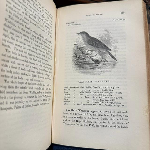A History of The British Birds. Illustrated By 520 Wod-Engravings, In Three Volumes — photograph 8.