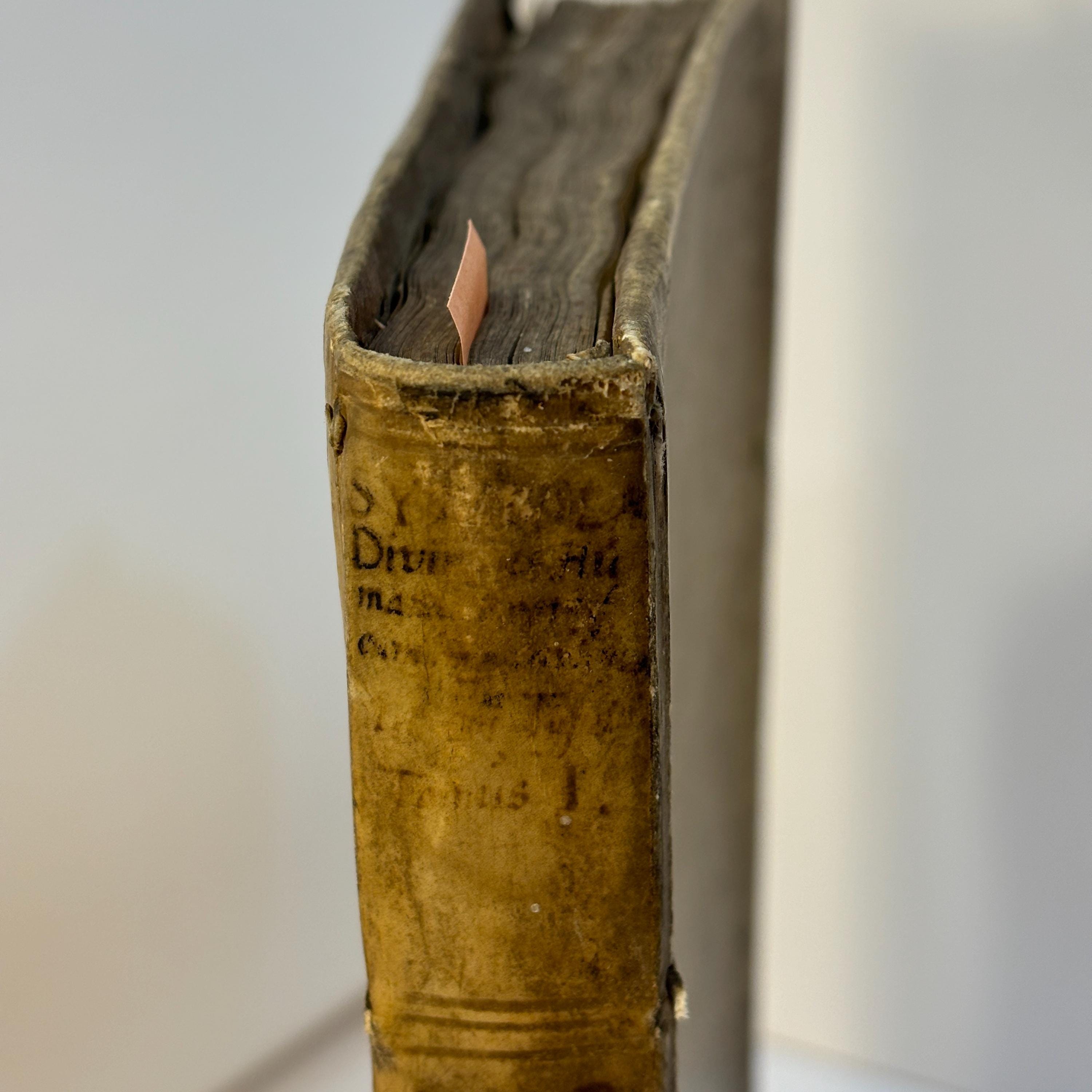 Isagoge Iac. Typotii, Familiaris Aulæ & Historiographi. Sac. Cæs. Reg. Maiest. In Symbola Dinvina Et Humana. Cum Consensu Superiorum. Anno Domini: M. DCI. Translated: Introduction By Jacobus Typotius, Courtier of the Imperial Household and Historiographer To the Sacred Imperial and Royal Majesty An Introduction to Divine and Human Symbols Published with the Approval of the Authorities In the Year of Our Lord 1601. — photograph 9.