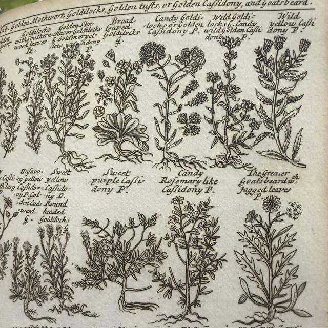 A Complete Herbal, Containing the Prints and The English Names of Several Thousand Trees, Plants, Shrubs, Flowers, exotics, etc. Many of Which are not to be found in the Herbals of either Gerard, Johnson, of Parkinson. Curiosly Engraved on 176 Copper-Plates. A New Edition. — photograph 8.