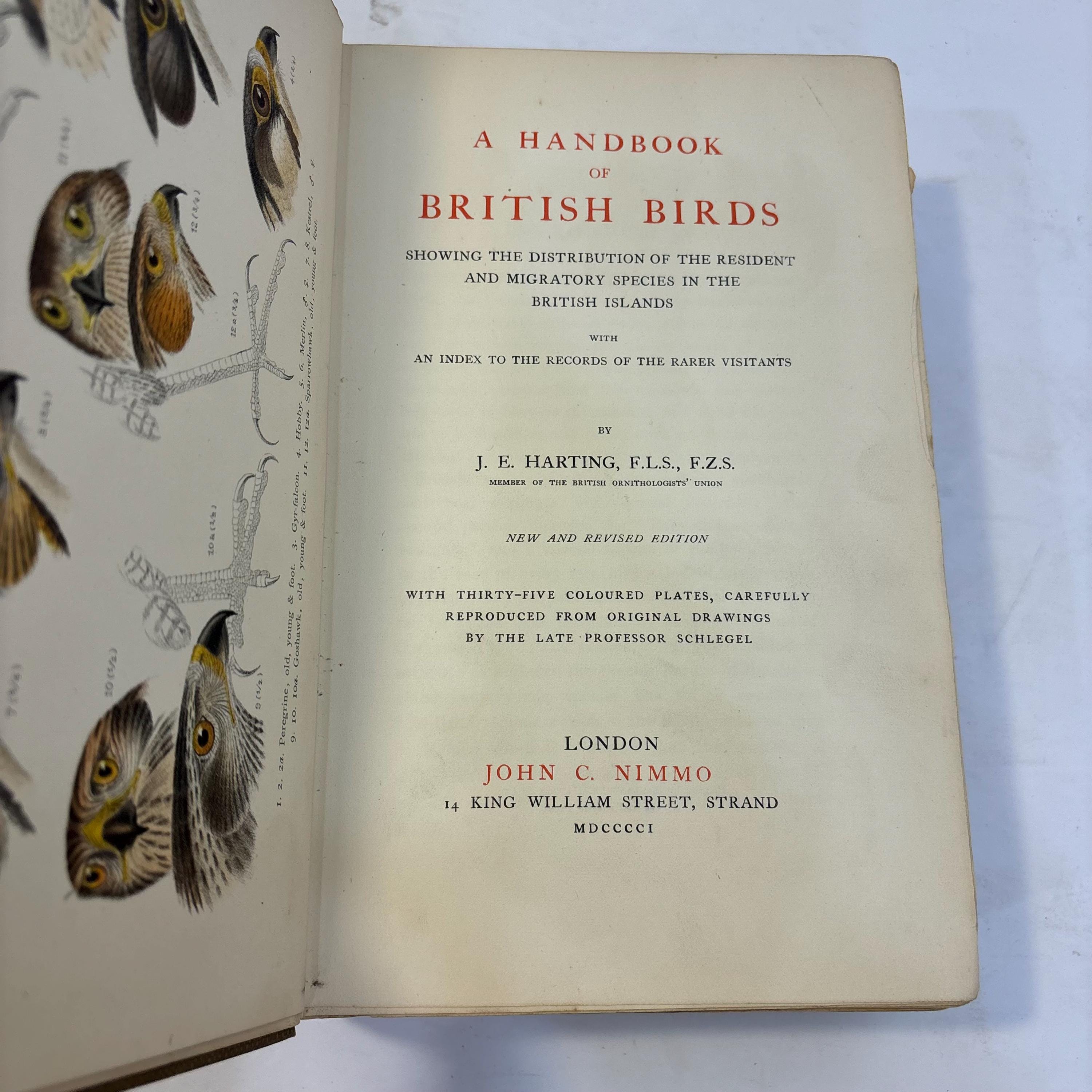 A Handbook of British Birds. Showing The Distribution of the Resident and Migratory Species in the British Islands with an Index to the Records of the Rarer Visitants. — photograph 3.