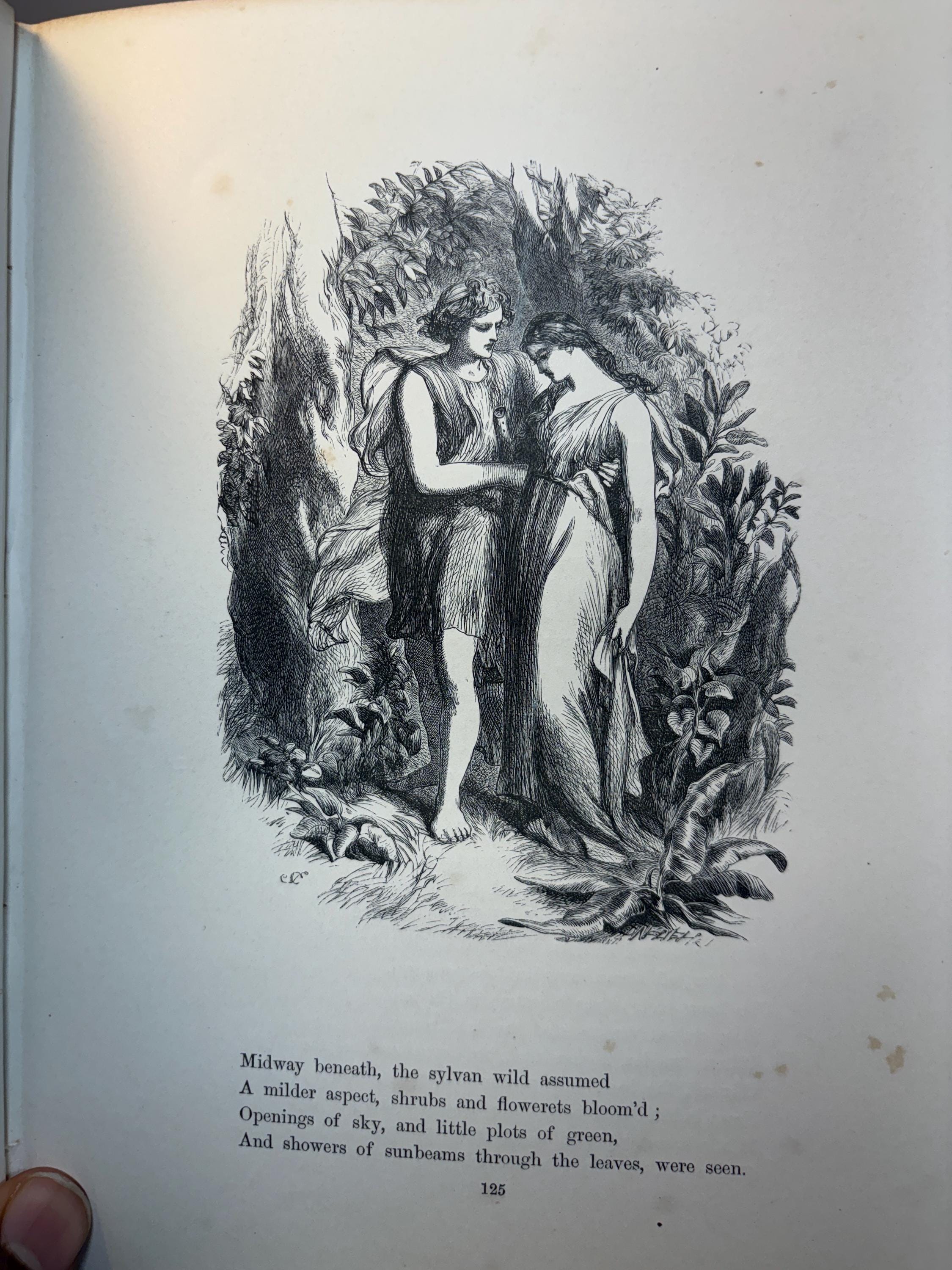 Poems of James Montgomery. Illustrated with One Hundred Designs by John Gilbert, J. Wolf, Birket Foster, Etc. Engraved by The Brothers Daziel. — photograph 4.