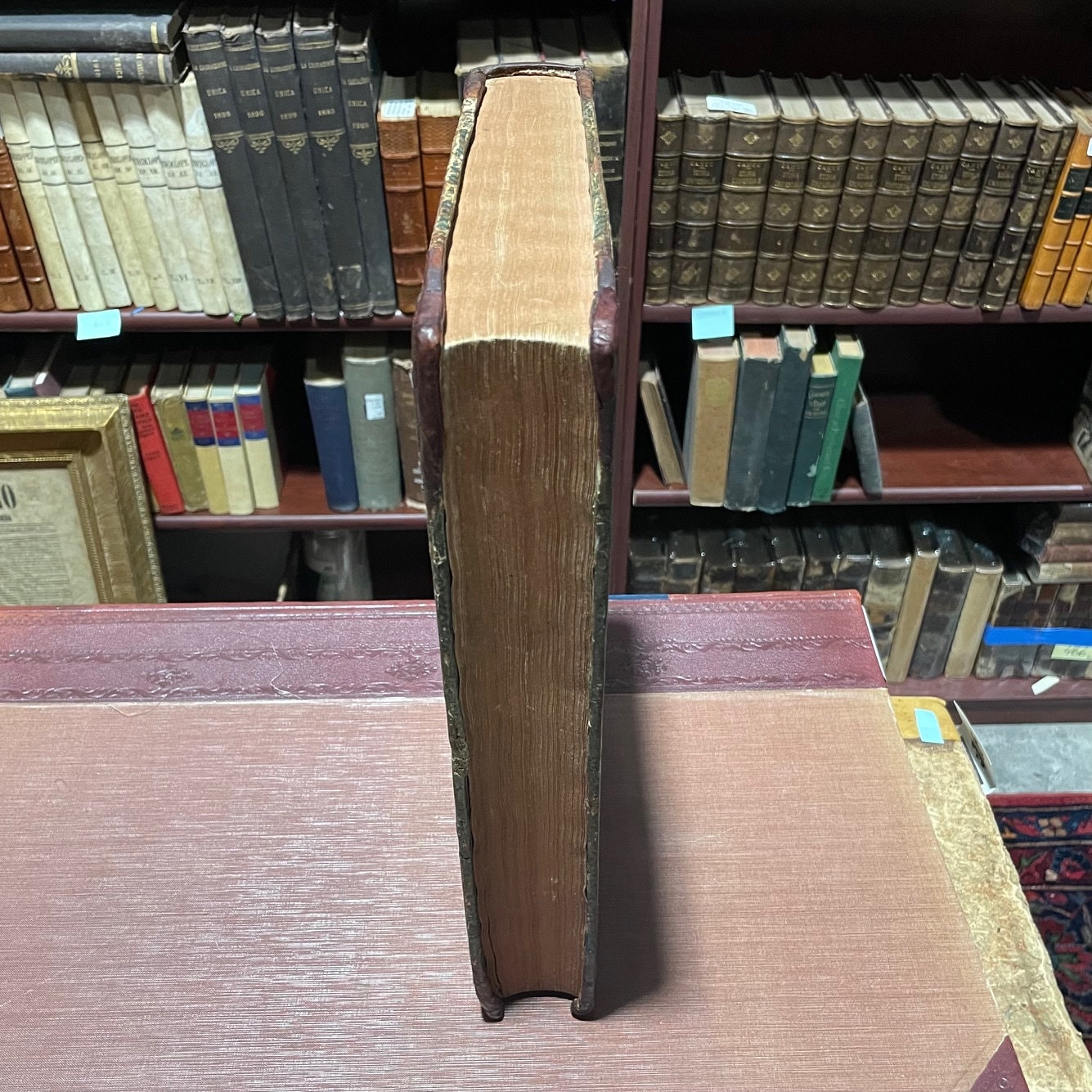The Famous and Memorable Works of Josephus, a Man of Much Honor and Learning Among the Jews. Faithfully translated out of The Latin, and French by Tho. Lodge, Doctor in Physick. Whereunto are newly added the references of The Scriptures throughout the History, and Afterwards collected into a Table. The Fifth Edition of the First English Edition. The Titles of all such Books as are Contained in this Historie: A History in Twenty Books, wherein the Antiquity of The Jews discovered; Josephus' Life, Written by himself all; Seven Books of The Warres of the Jews; Two Books against Apion the Grammarian, in Justificationof the Antiquity of The Jews; A Book as Touching the memorable Matyrdom of The Maccabees. — photograph 3.