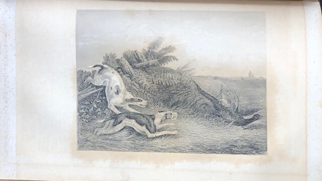The Works of Cowper and Thomson, Including Many Letters and Poems Never Before published in This Country. With a New and Interesting Memoir of The Life of Thomson. Complete in One Volume — photograph 6.