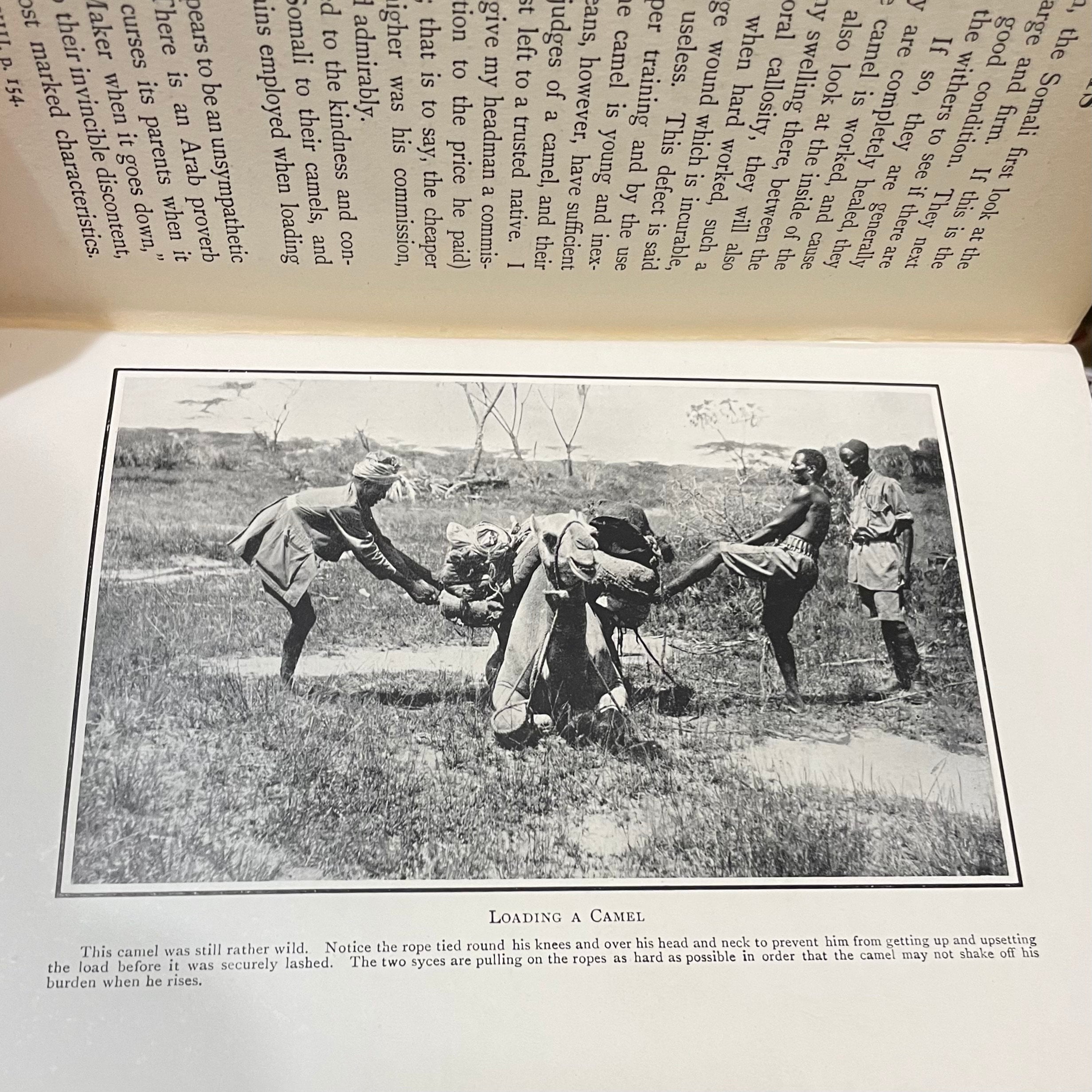 Through Jubaland toThe Lorian Swamp An Adventurous Journey of Exploration & Sport in The Unknown African Forests & Deserts of Jubaland to the Unexplored Lorian Swamp. With 44 Illustrations & 2 Maps — photograph 7.