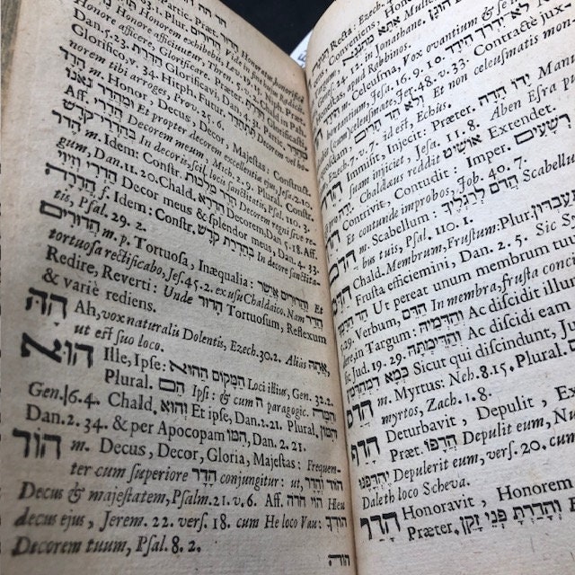 1710. Hebrew Lexicon. Johannis Buxtorf's Lexicon & Chaldaicum... Latin/Hebrew Language. — photograph 8.