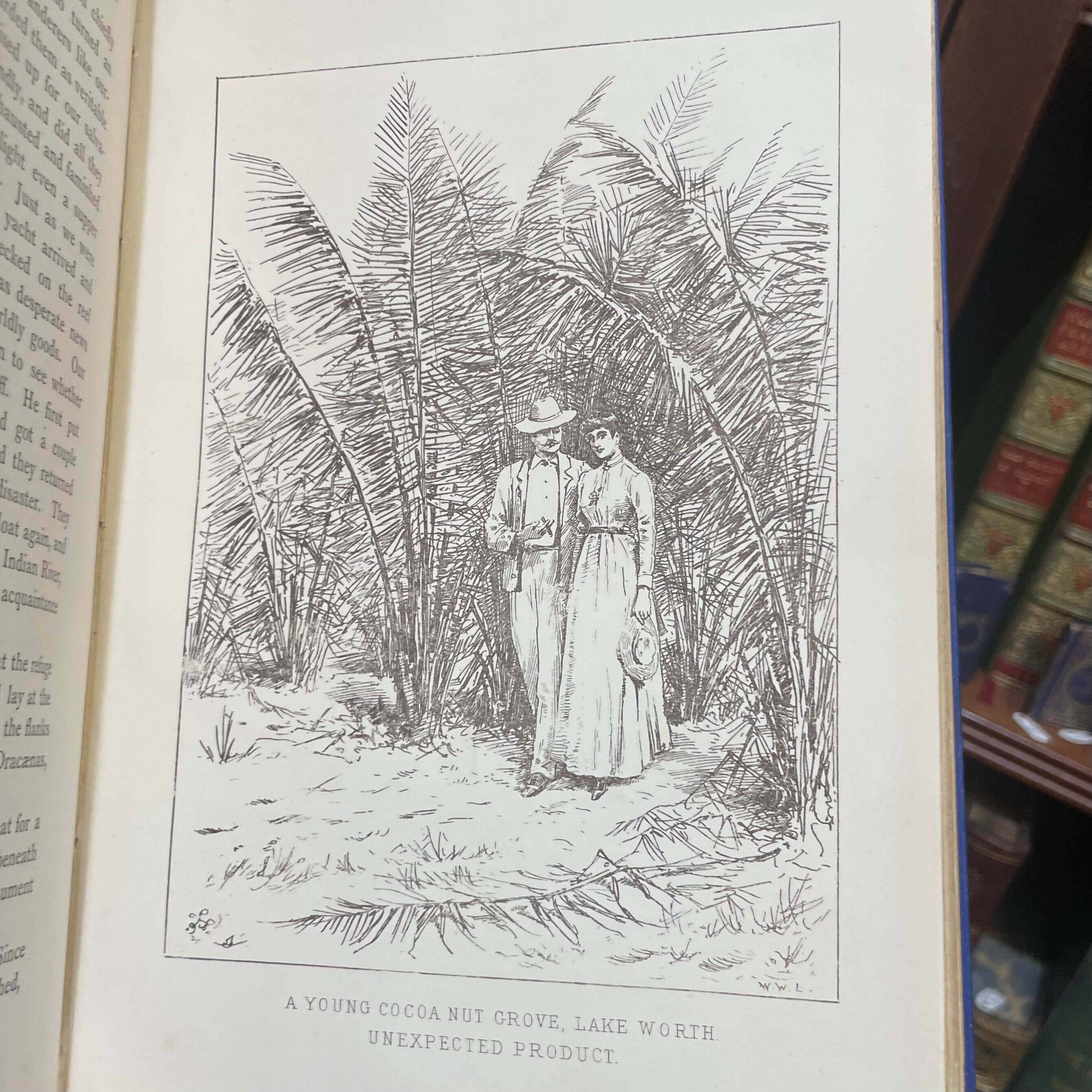 Adventures Amidst the Equatorial Forests and Rivers of South America; Also in the West Indies and the Wilds of Florida. To Which is Added "Jamaica Revisited" With Many Illustrations and Maps — photograph 7.