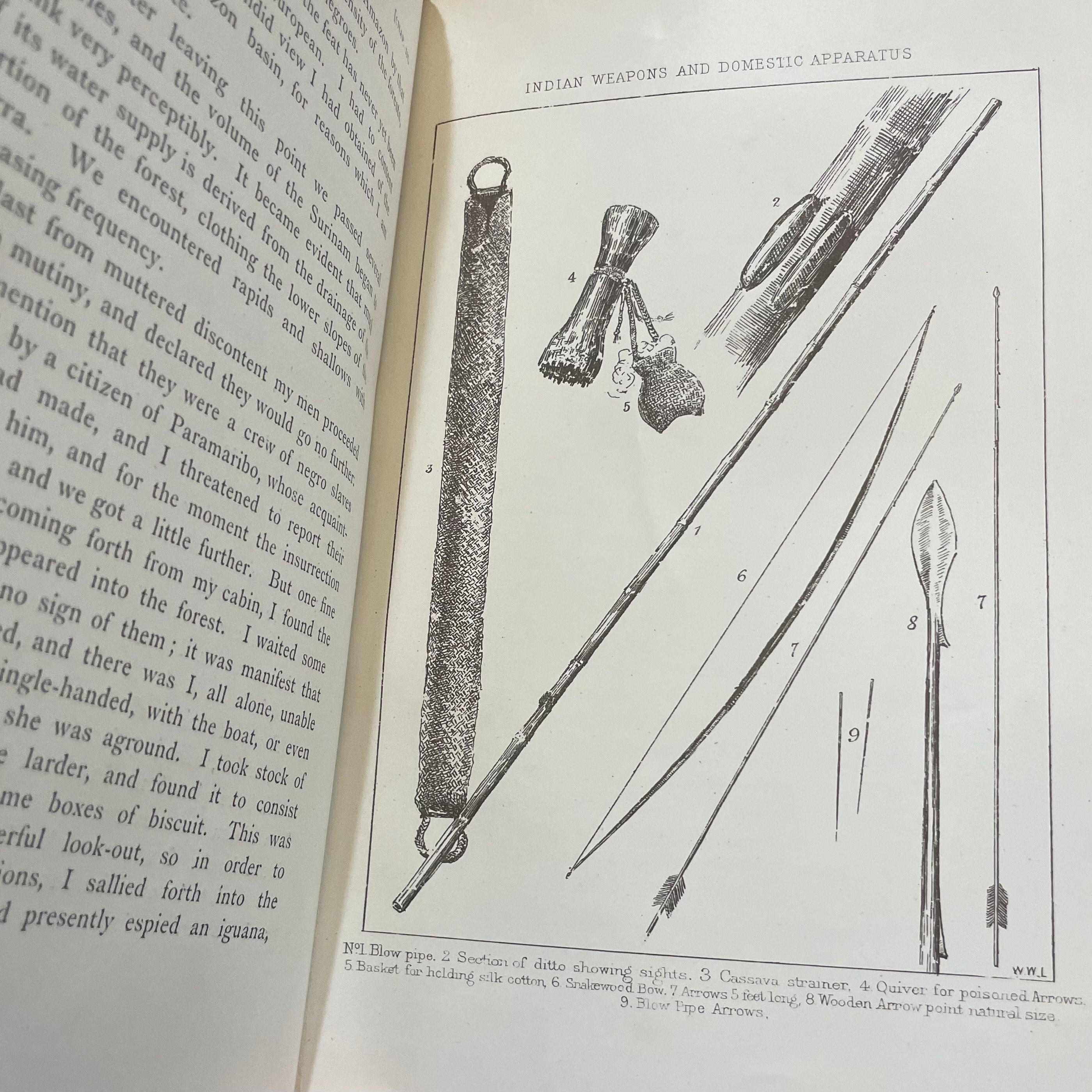 Adventures Amidst the Equatorial Forests and Rivers of South America; Also in the West Indies and the Wilds of Florida. To Which is Added "Jamaica Revisited" With Many Illustrations and Maps — photograph 9.