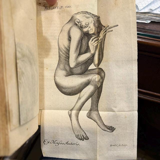 D. Io. Ern. Hebenstreit In Universitate Lipsensi Therapiae Prof. Publ. Facultatis Medicae Decani Vrbis Physici Anthropologia Forensis Sistens Medici Circa Rempublicam Causasque Dicendas Officivm Cum Rerum Anatomicarum ac Physicarum quae illud attinent expositionibus. Editio Altera C. Fig. Aeneis. Translated: Johann Ernst Hebenstreit, Public Professor of Therapeutics at the University of Leipzig, Dean of the Medical Faculty, and City Physician. Forensic Anthropology, Presenting The Duty of the Physician in Relation to the State And to Legal Cases, With Explanations of the Anatomical and Physical Matters That Pertain to It. Second Edition, With Copper Engravings. — photograph 8.