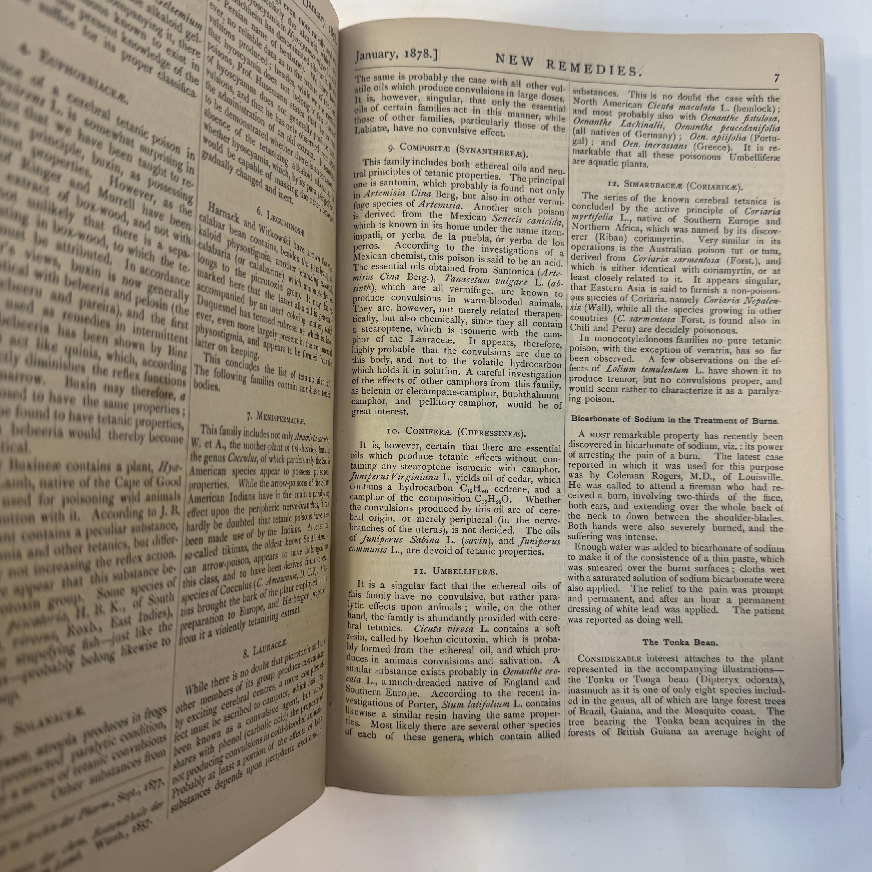 New Remedies, and Illustrated Monthly Trade Journal of Materia Medica, Pharmacy and Therapeutics, Vol. VII — photograph 7.