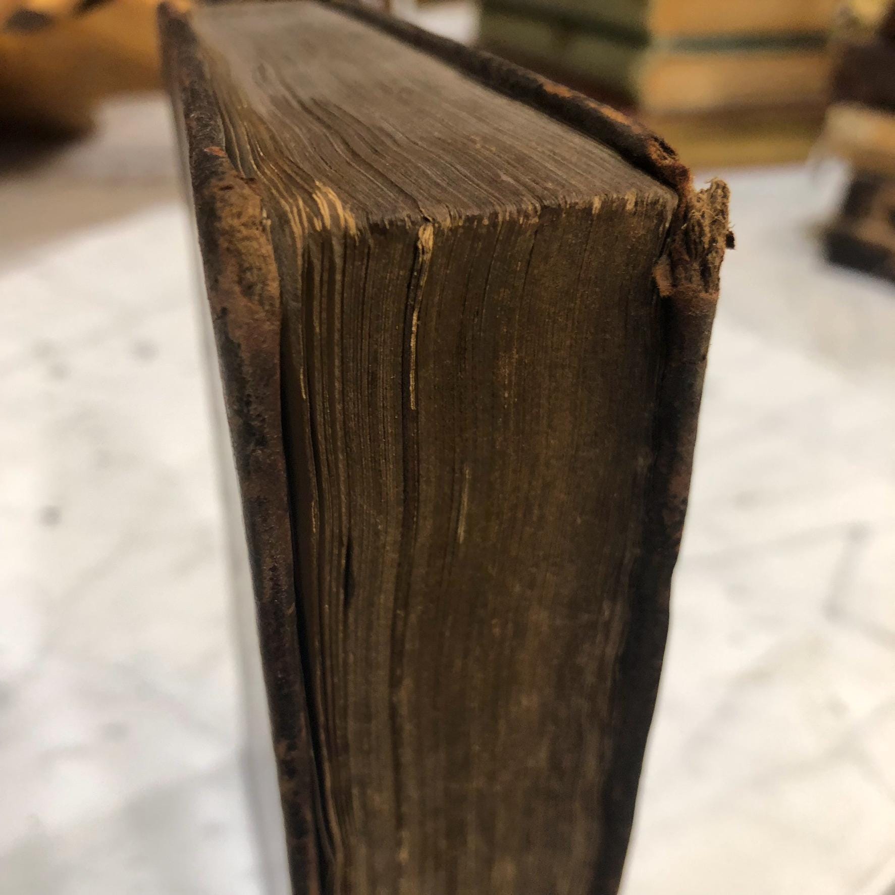 Hugo Grotius De Veritate Religionis Christianæ. Editio accuratior, Quam secundum recensuit, notulisque illustravit Joannes Clericus; cujus accessit De eligenda inter Christianos dissidentes Sententia, Liber Unicus. Translated: Hugo Grotius On The Truth Of The Christian Religion. A more accurate edition, Which has been revised a second time, and illustrated with notes by Johannes Clericus; to which has been added On choosing among Christians who disagree, An opinion, A single book. — photograph 10.
