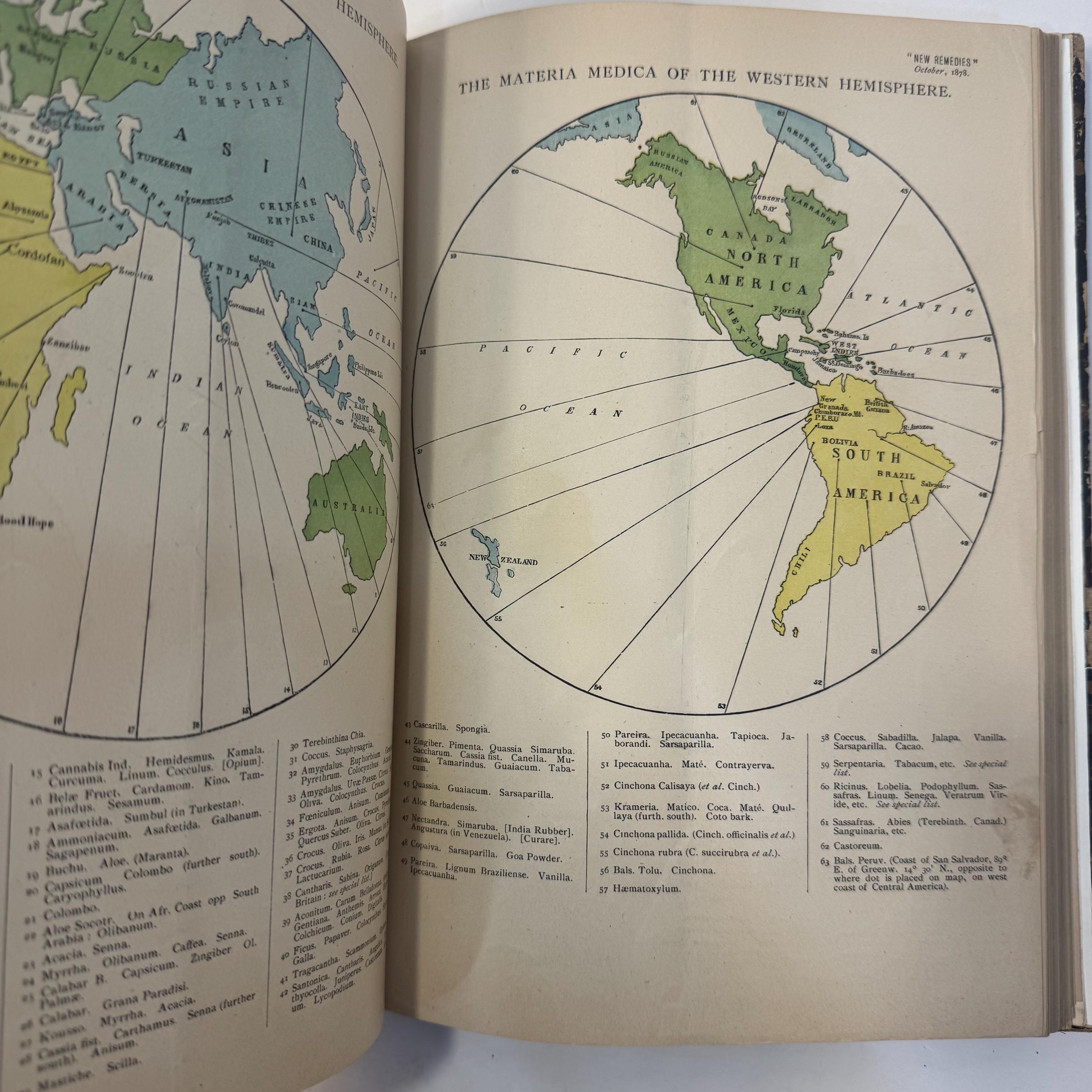 New Remedies, and Illustrated Monthly Trade Journal of Materia Medica, Pharmacy and Therapeutics, Vol. VII — photograph 5.