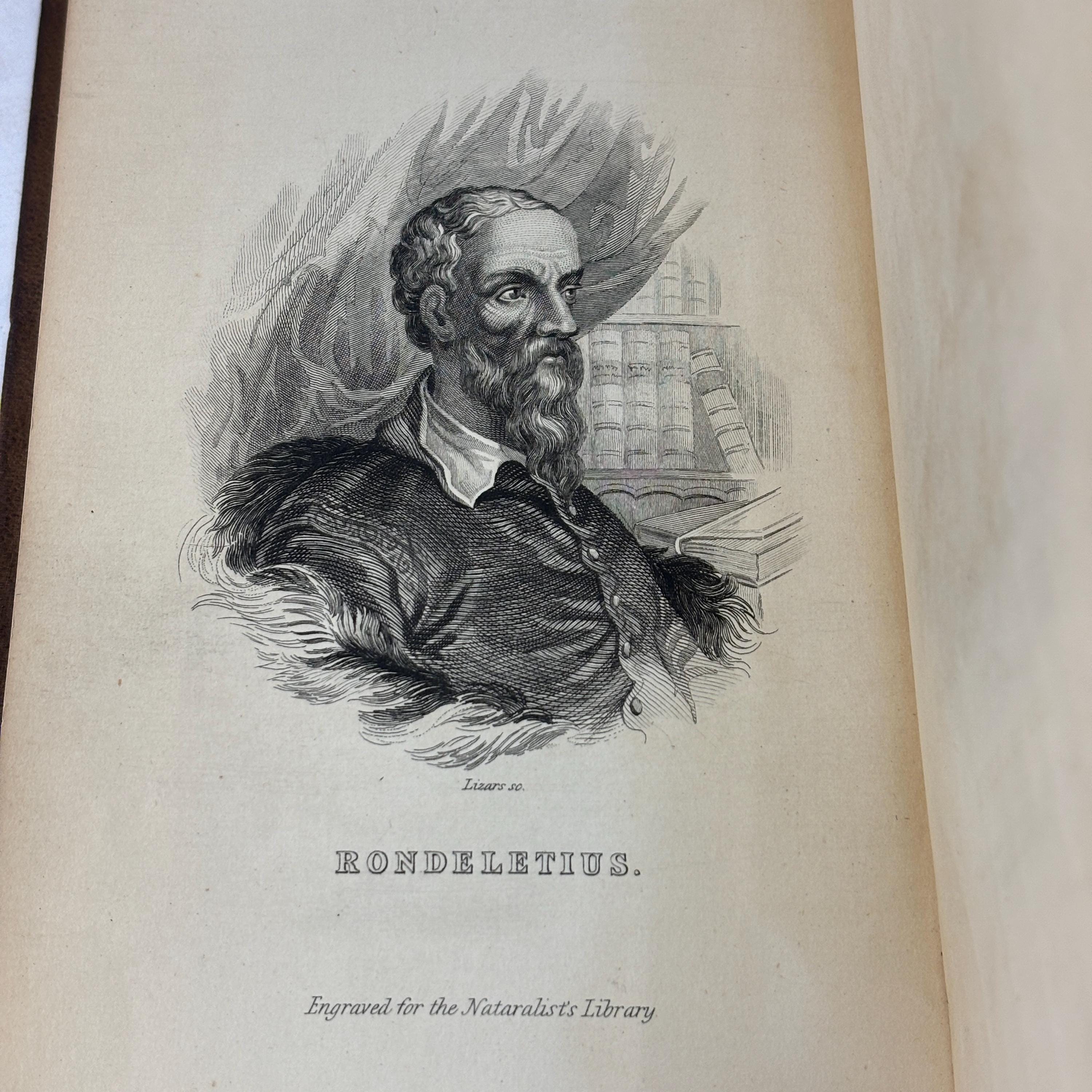 The Natural History of British Fishes Vol. I Illustrated by Thirty-Six Colored Plates, With Portrait and Memoir of Rondelet.The Naturalist's Library. Ichthyology Vol.IV. British Fishes Vol. I — photograph 7.