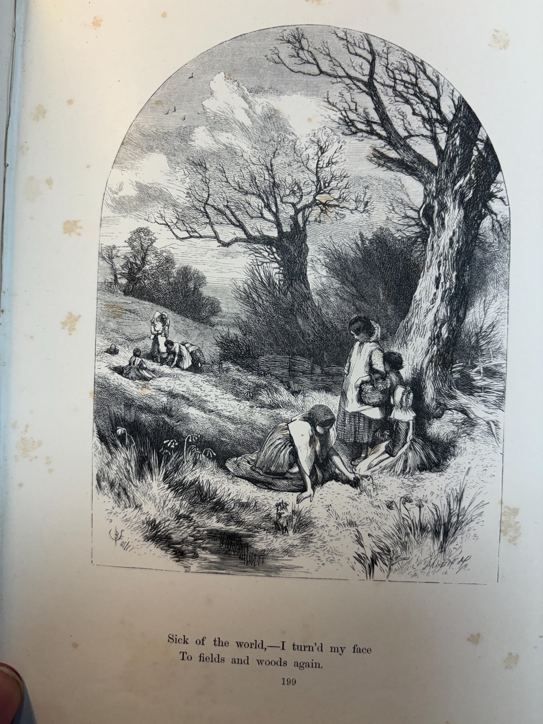 Poems of James Montgomery. Illustrated with One Hundred Designs by John Gilbert, J. Wolf, Birket Foster, Etc. Engraved by The Brothers Daziel. — photograph 6.