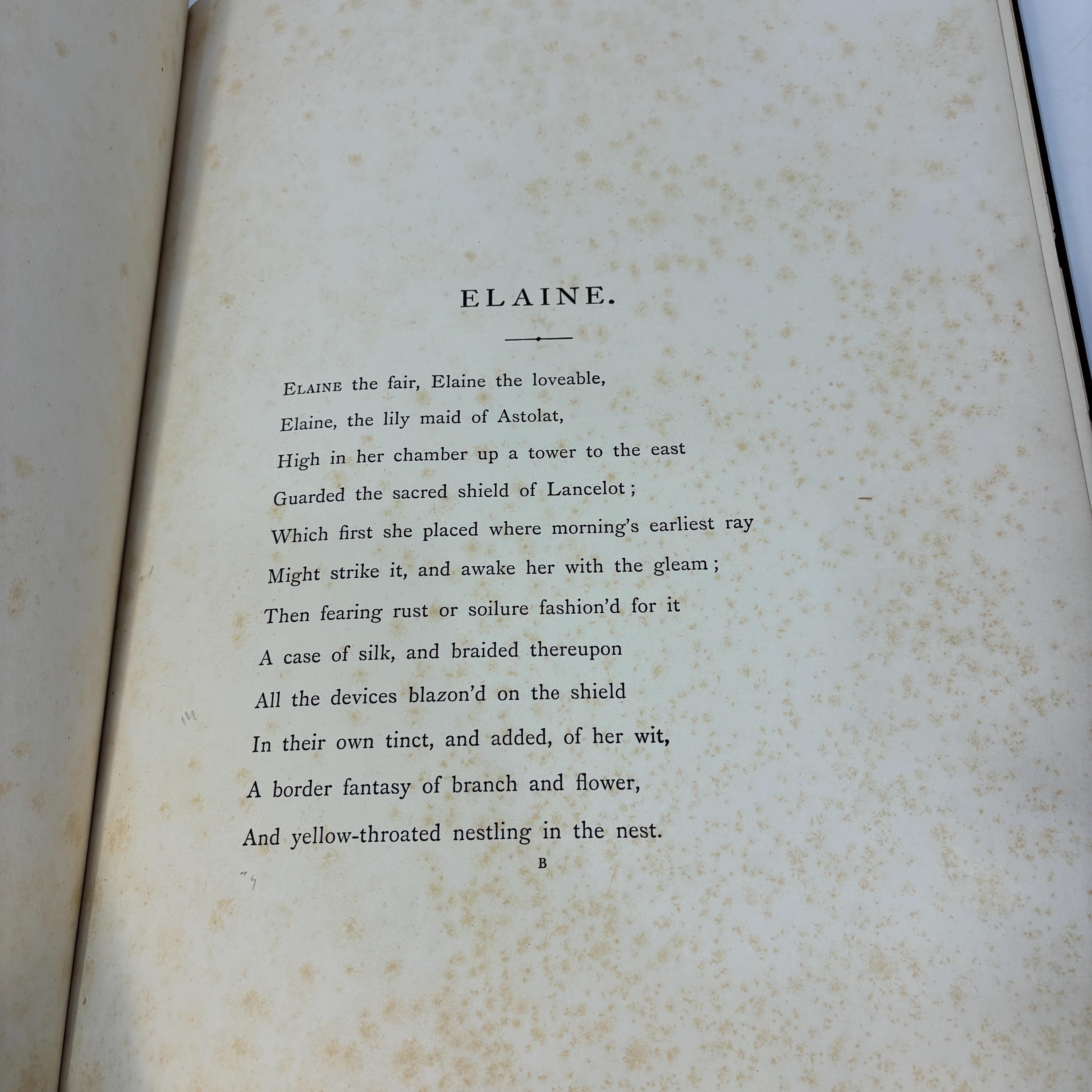 Elaine, Illustrated by Gustave Dore — photograph 8.