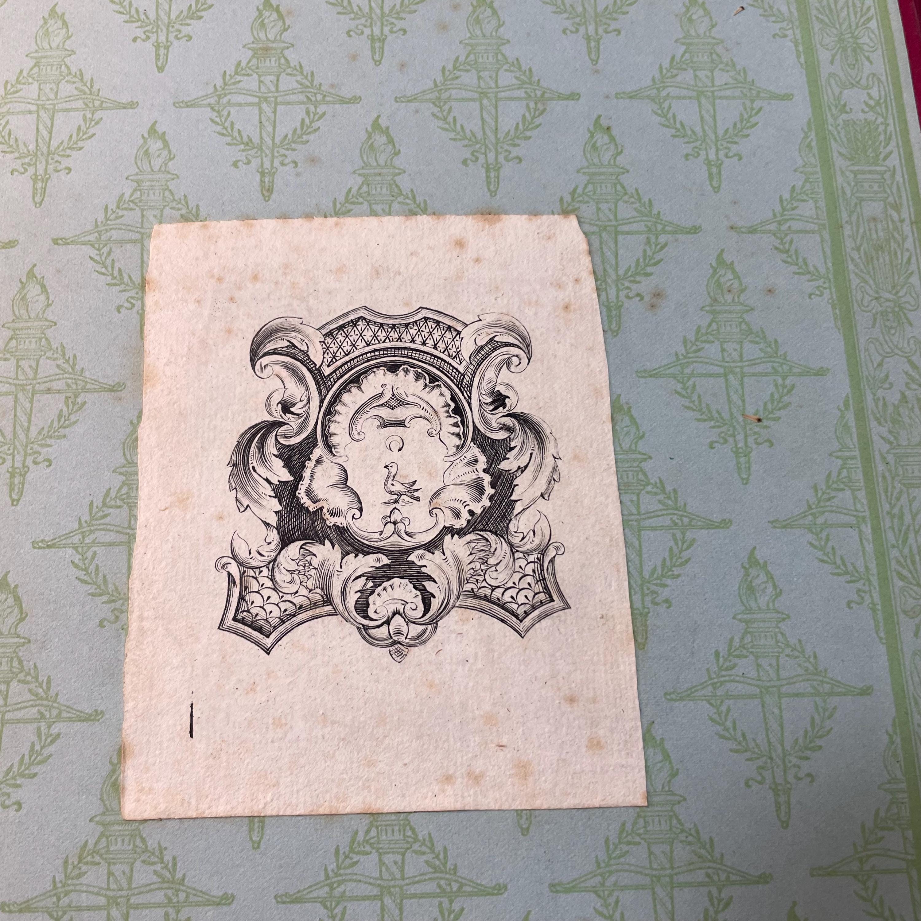 L'Image De La Femme. Translated: The Image of The Woman — photograph 3.