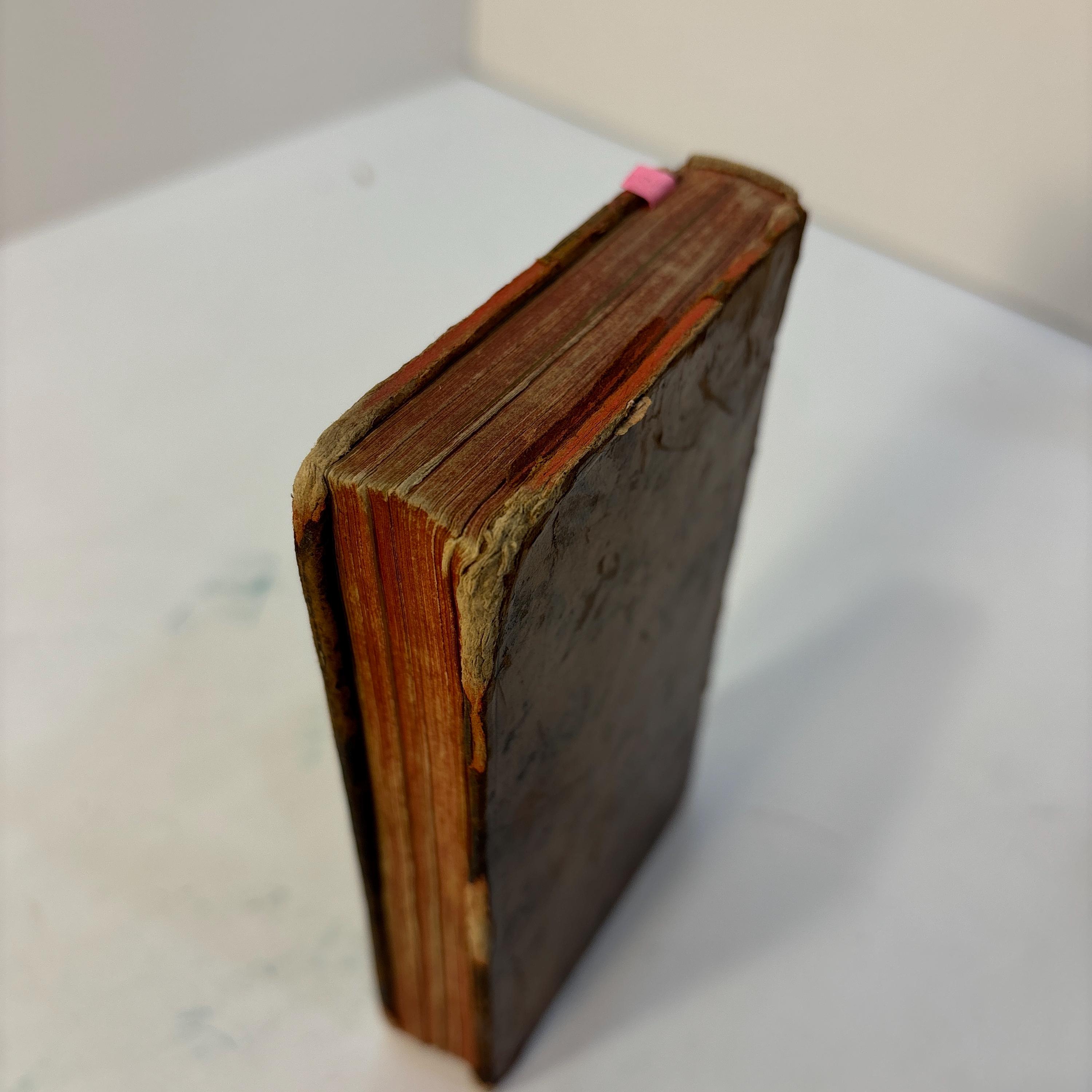 Voyages de Gulliver. Seconde edition. (Gulliver's Travels. Second edition.) — photograph 5.