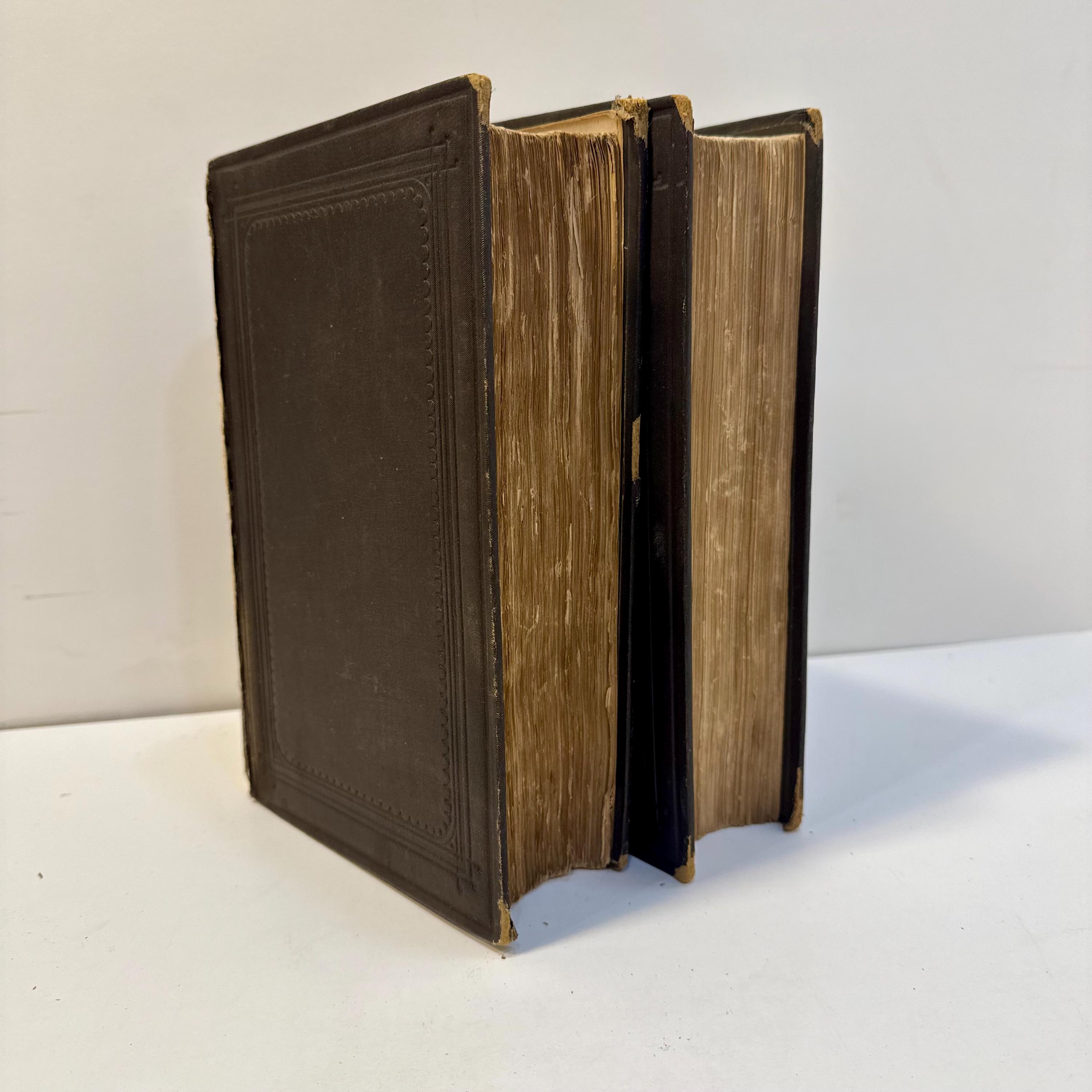 A Treatise on The Diseases of The Nervous System (Illustrated) by Dr. James Ross, 1883 | Second Edition, Revised & Enlarged — photograph 5.